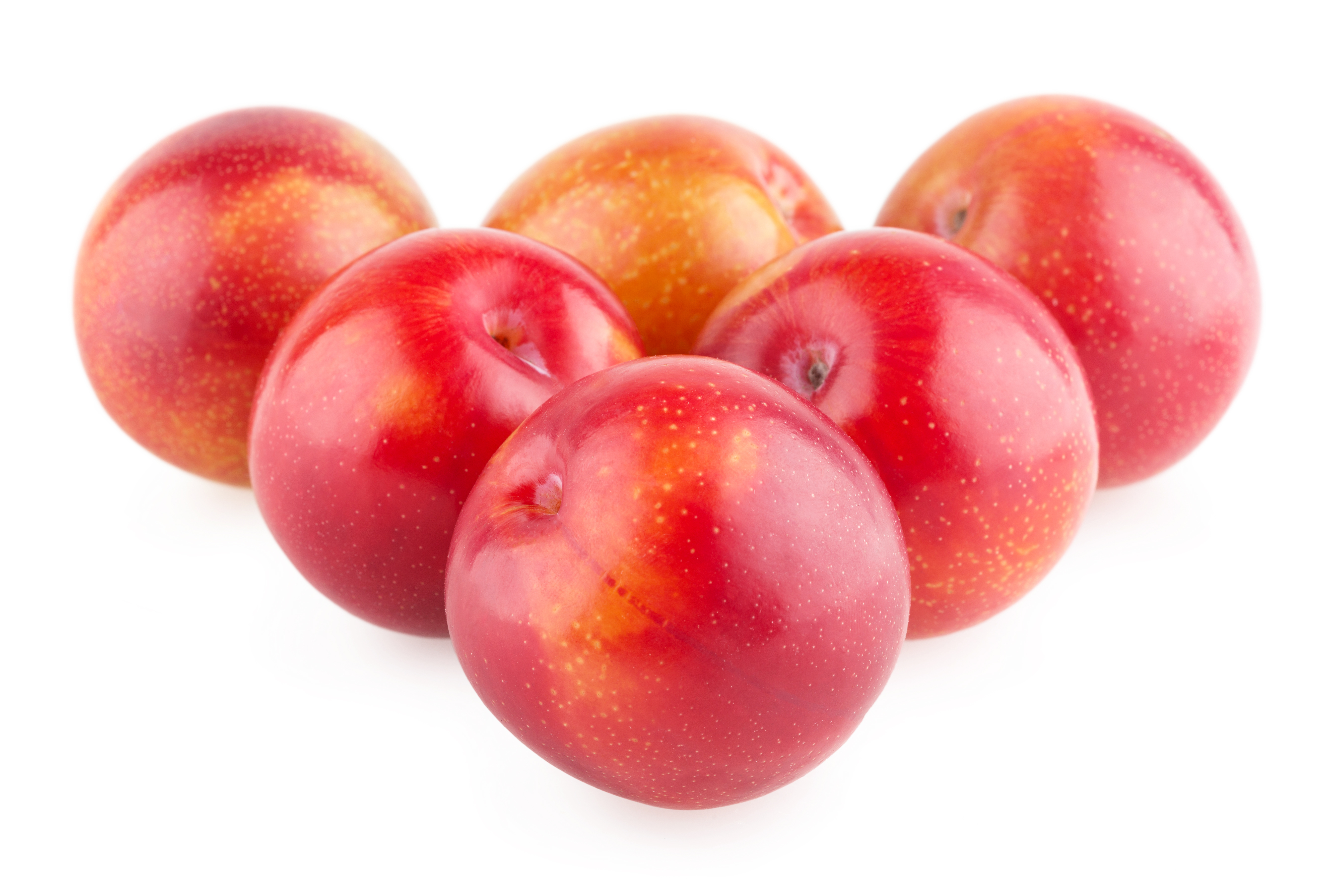 Plums isolated on white background photo