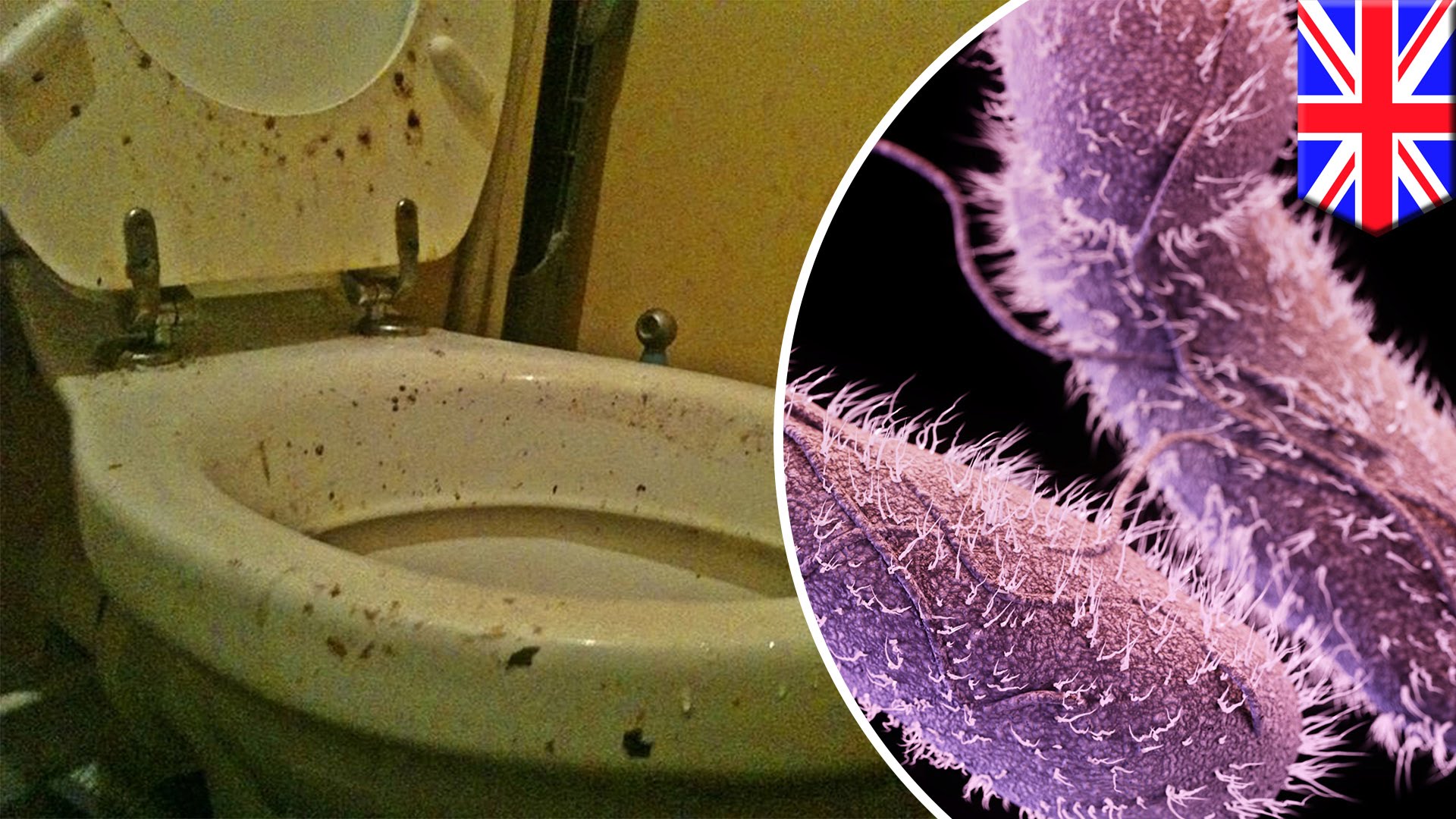 Cell phone while on toilet? You're getting germs from everyone's ...