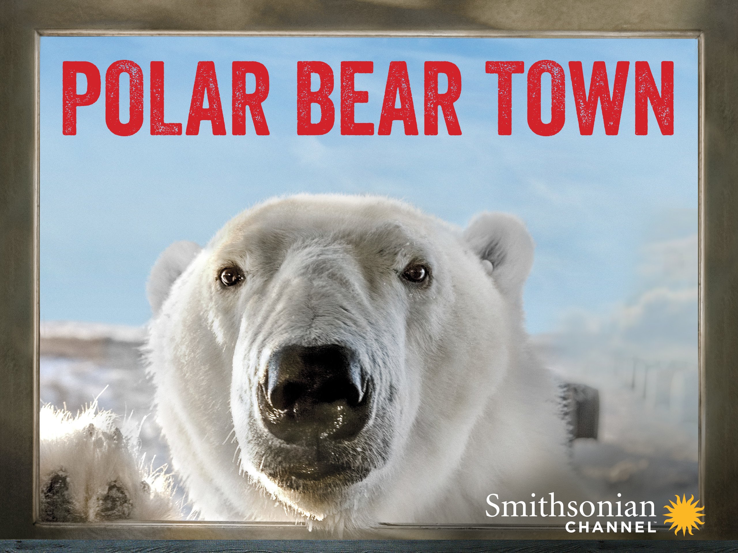 Amazon.com: Polar Bear Town - Season 1: Smithsonian Channel: Amazon ...