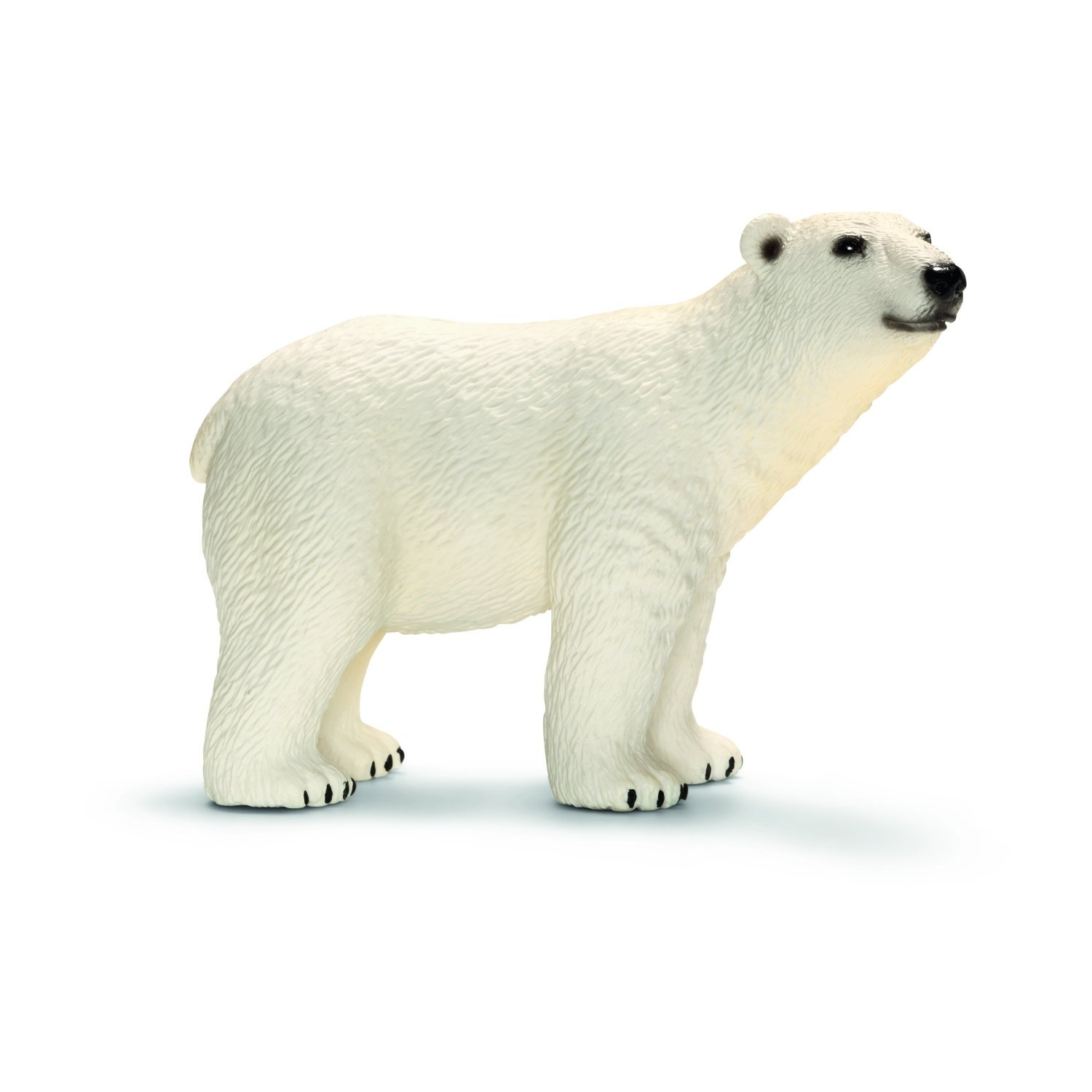Amazon.com: Schleich Polar Bear Toy Figure: Varios: Toys & Games