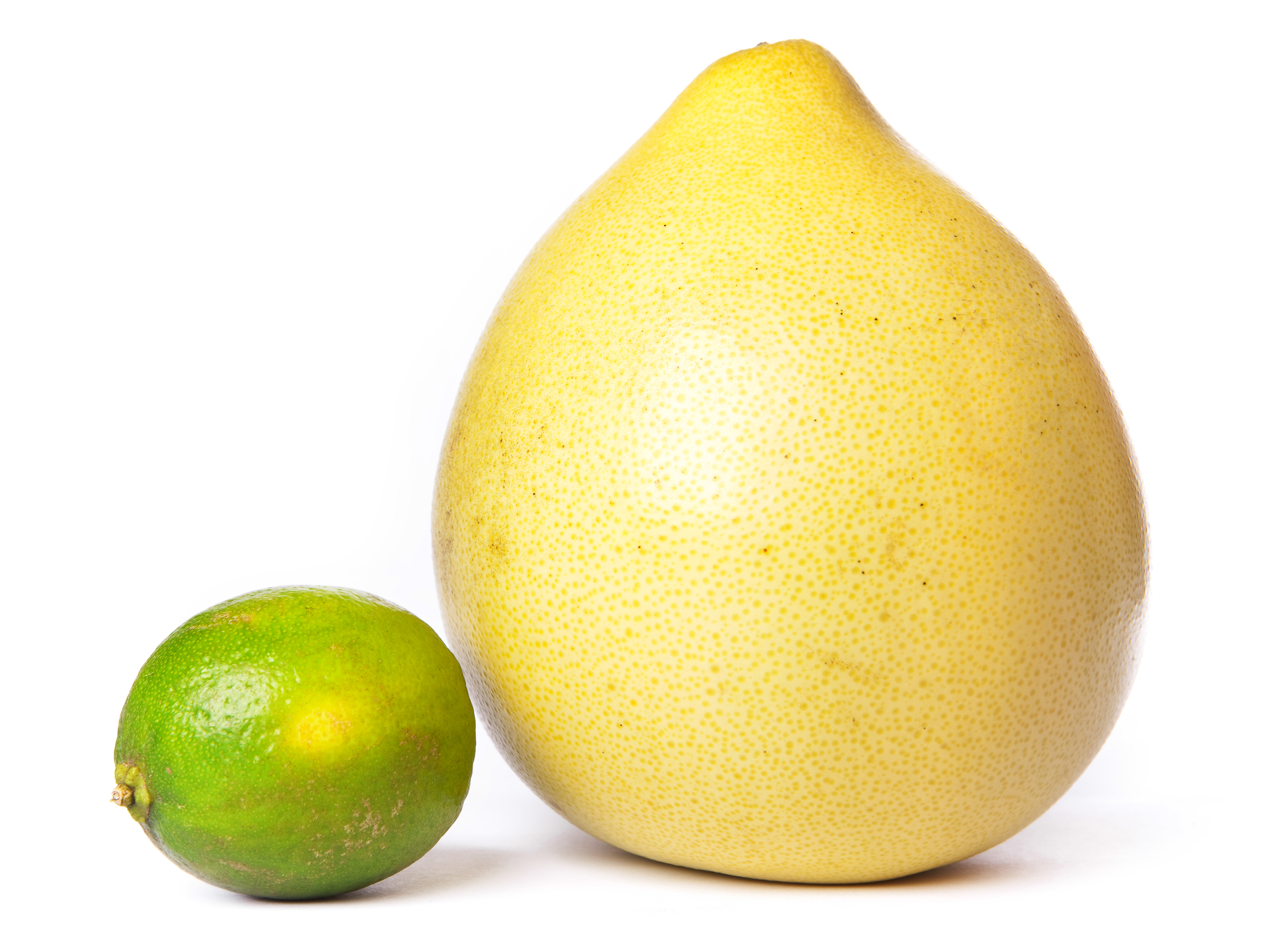 Pomelo and lime photo