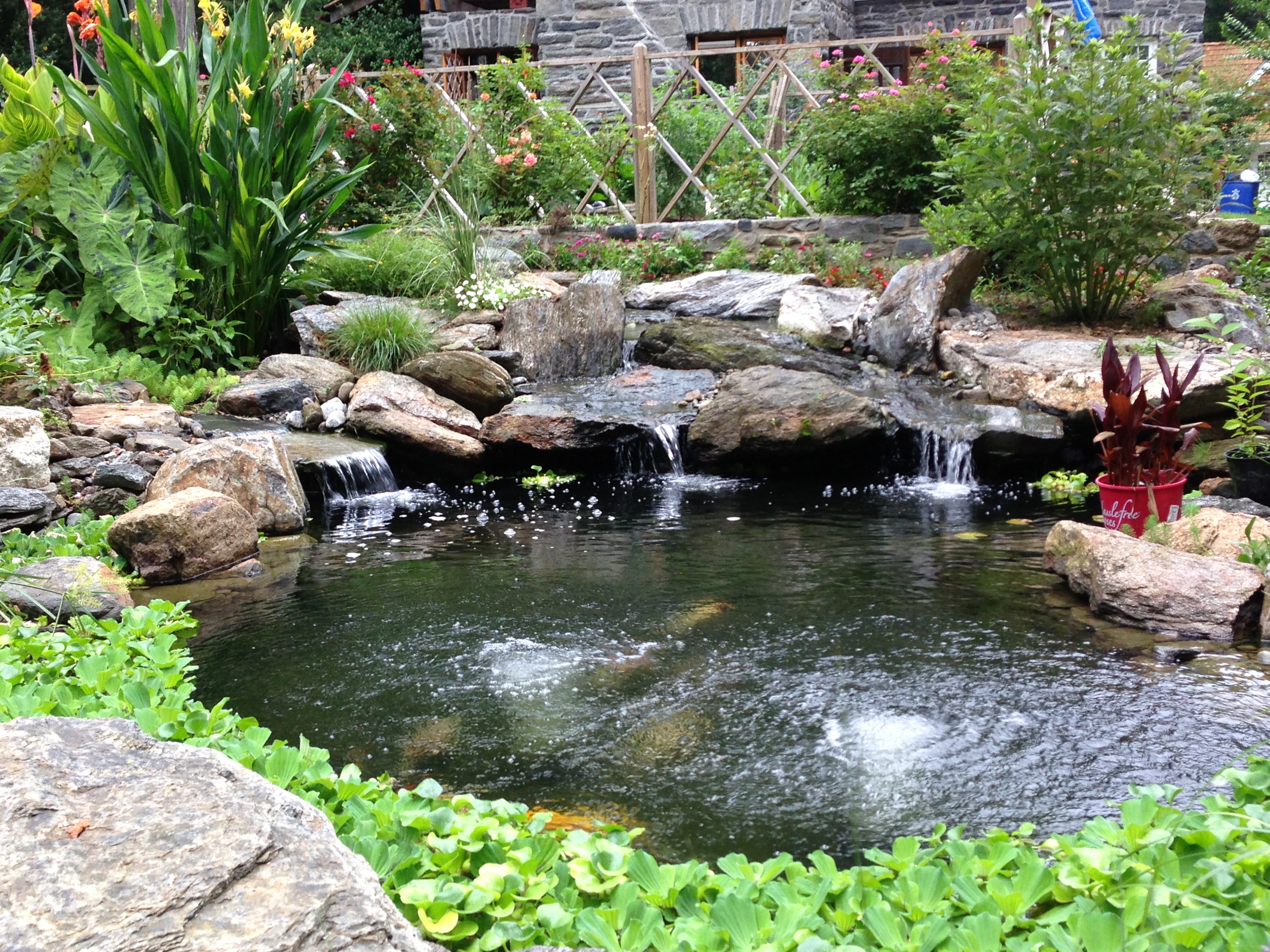 How to choose the best stone for your pond - AquaReale Pond Blog