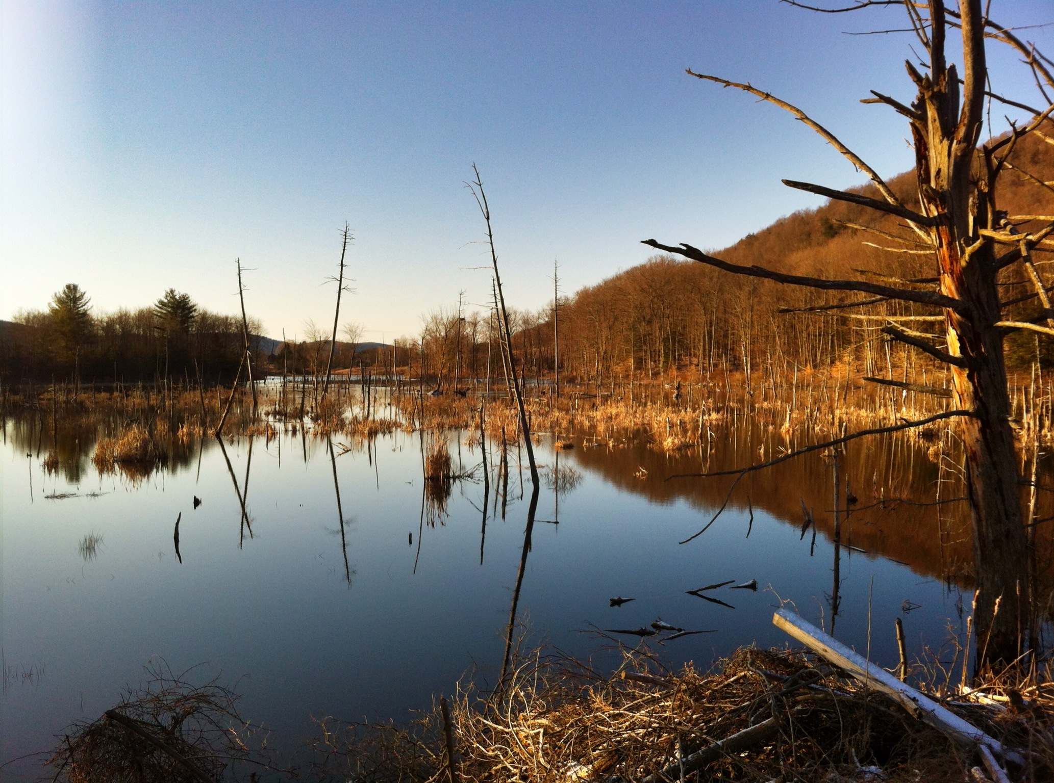 Ithaca Trails - Jennings Pond