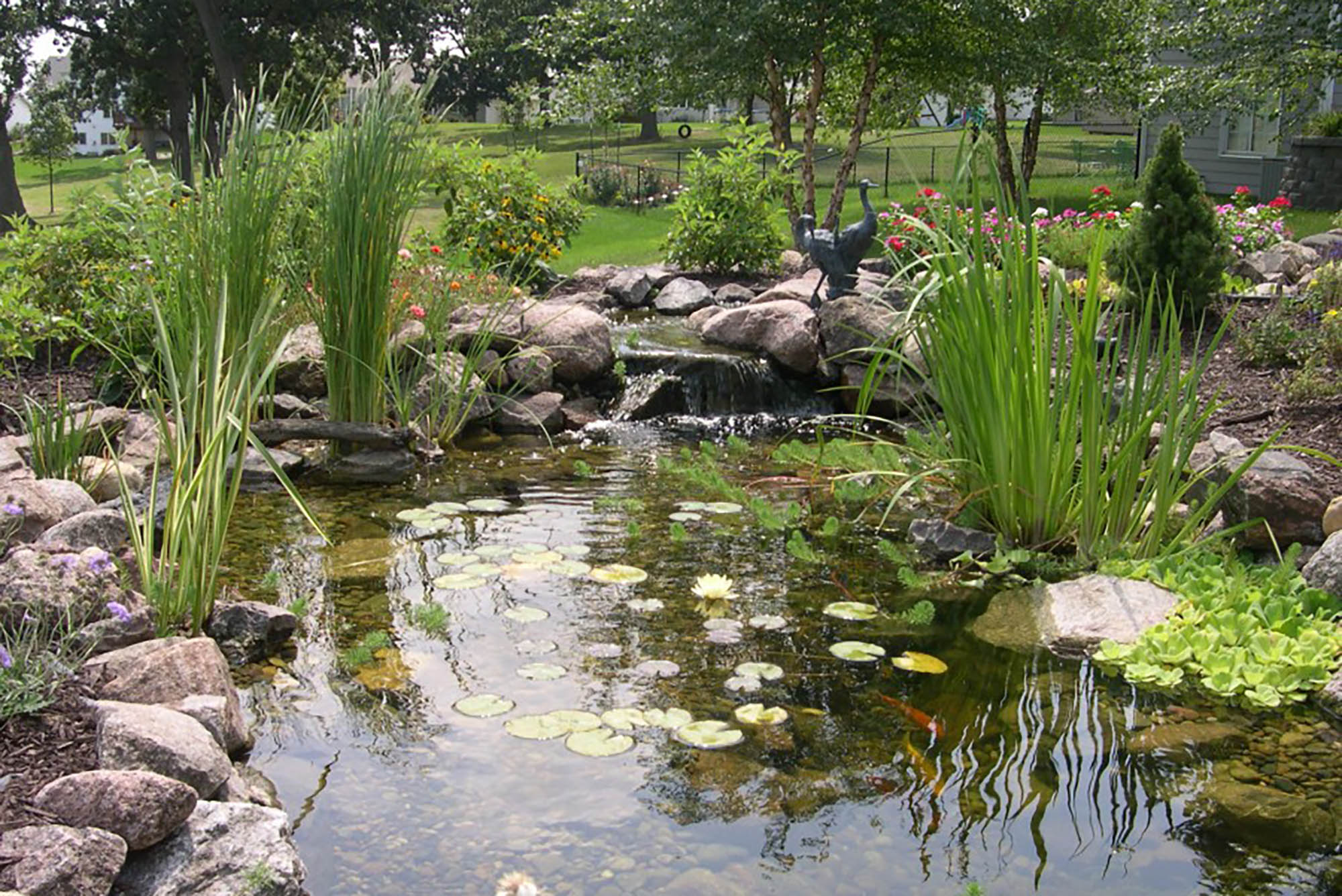 Ecosystem Ponds And Water Features In Des Moines | Just Add Water