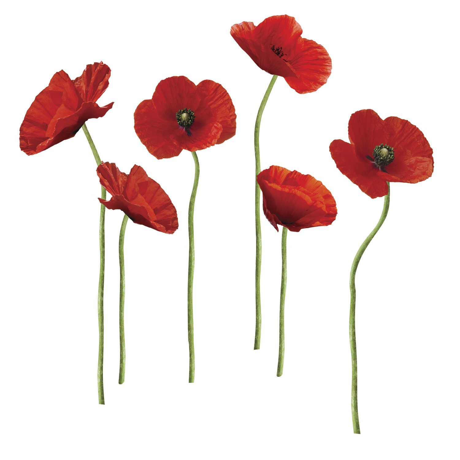 RoomMates RMK1729GM Poppies at Play Peel and Stick Giant Wall Decals ...