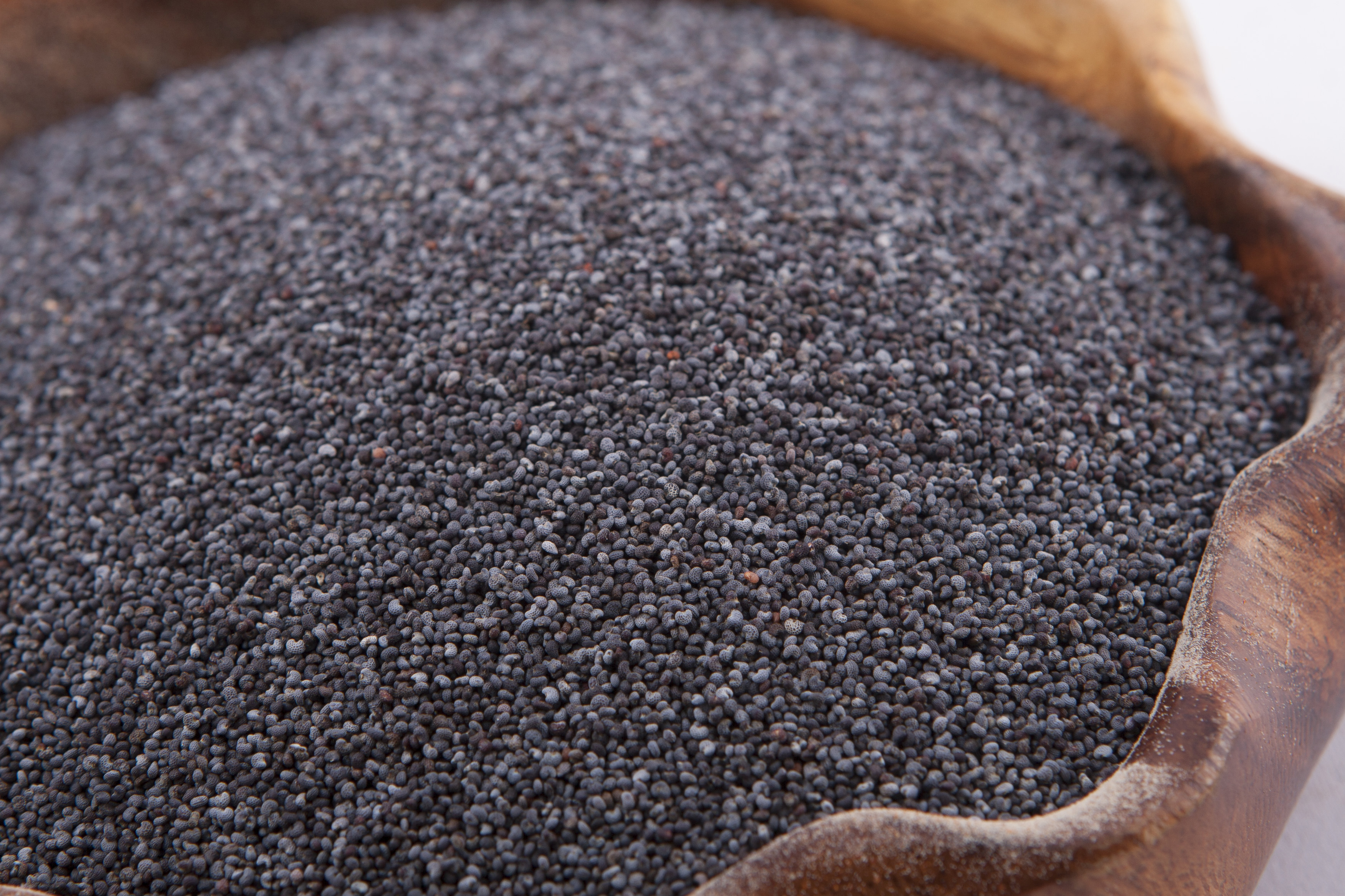 Poppy Seed | Marion Kay Spices