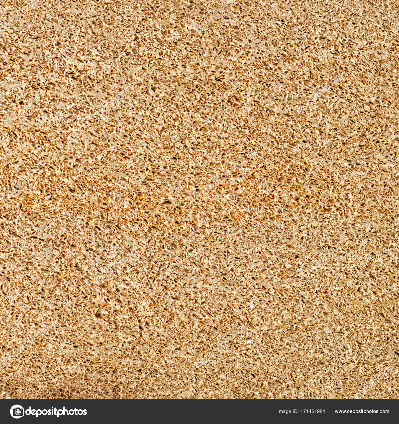seamless of pumice porous texture background, natural stone — Stock ...