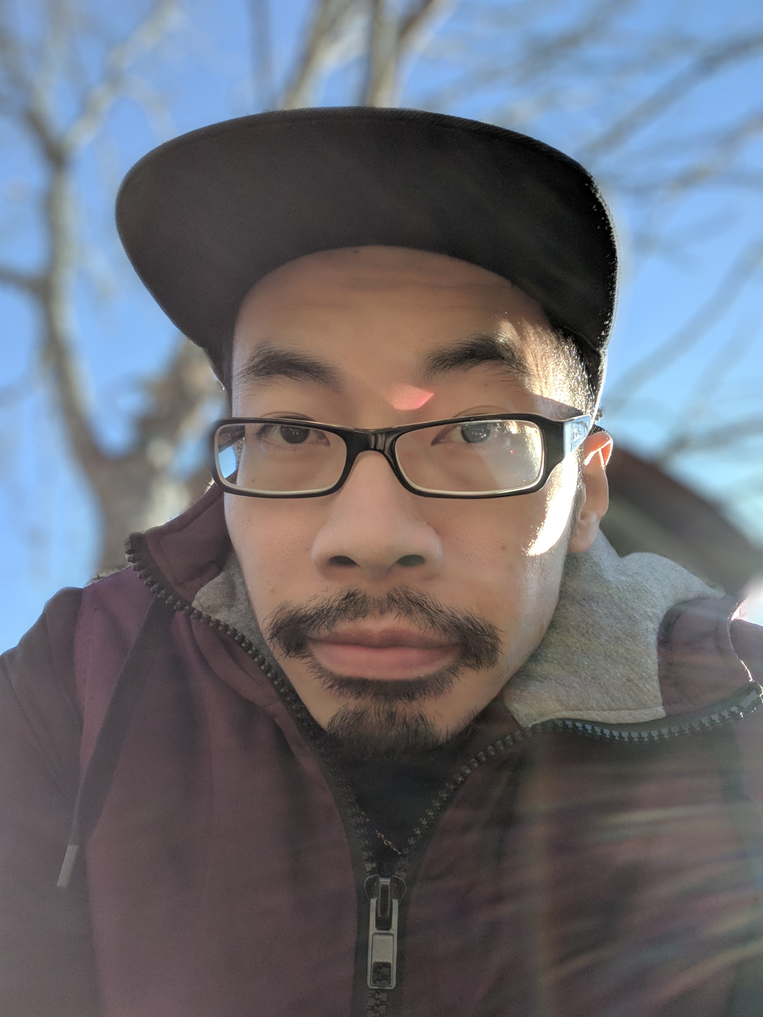 Pixel 2 portrait mode: how does it compare to other phones ...