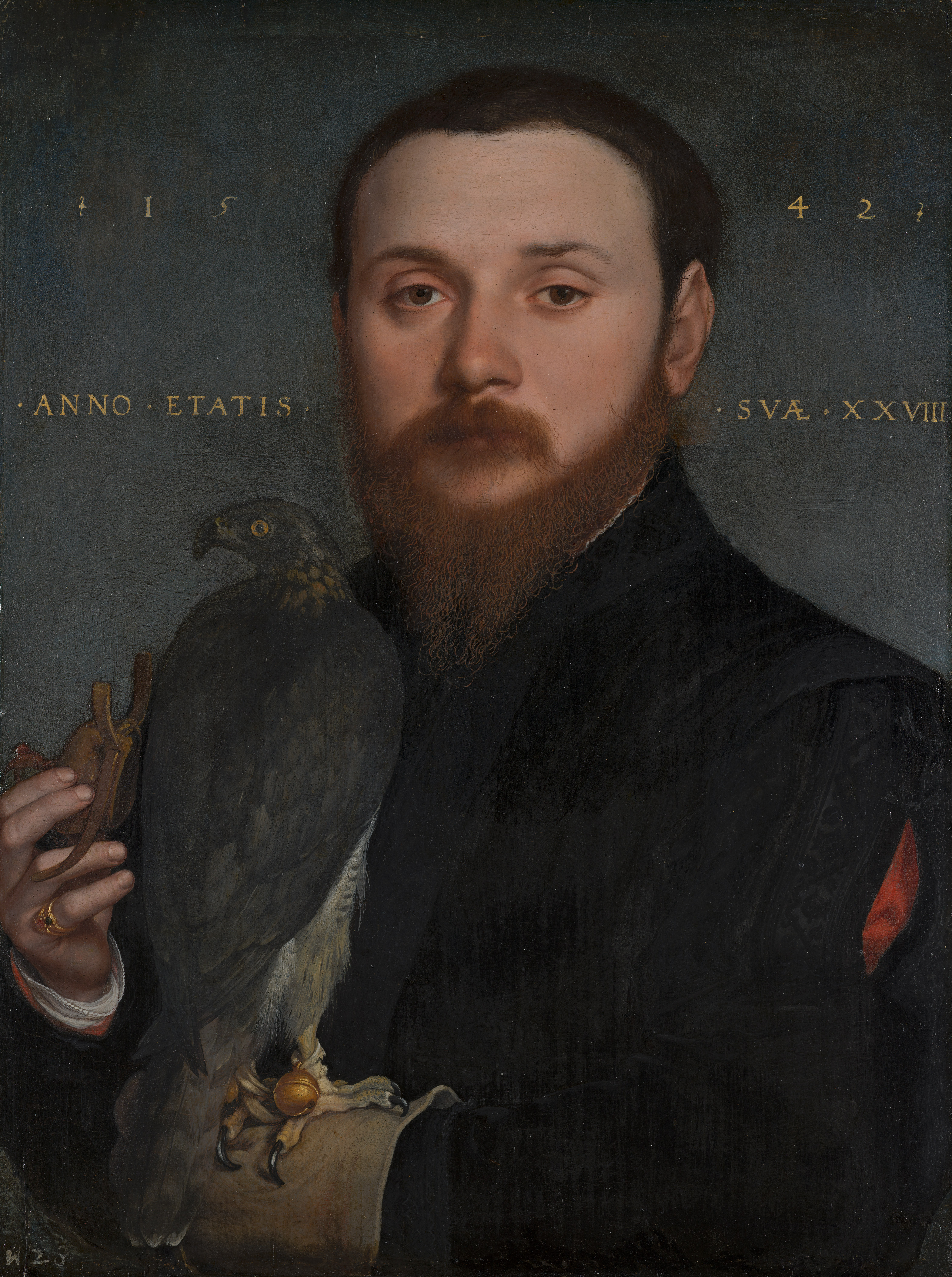 Portrait of a Nobleman with a Hawk | Hans Holbein the Younger; Hans ...