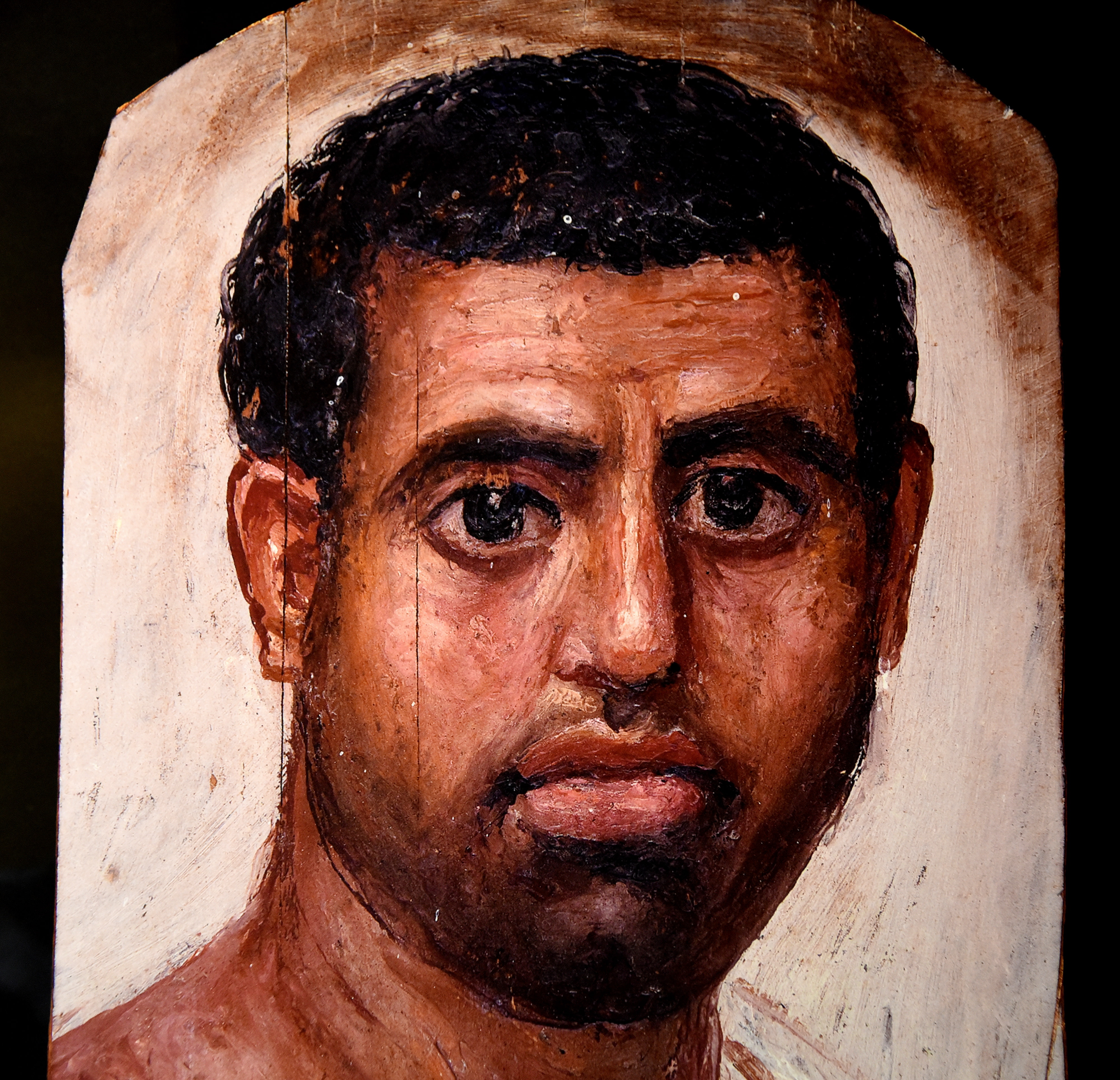 Mummy Portrait of a Man from Fayum (Illustration) - Ancient History ...