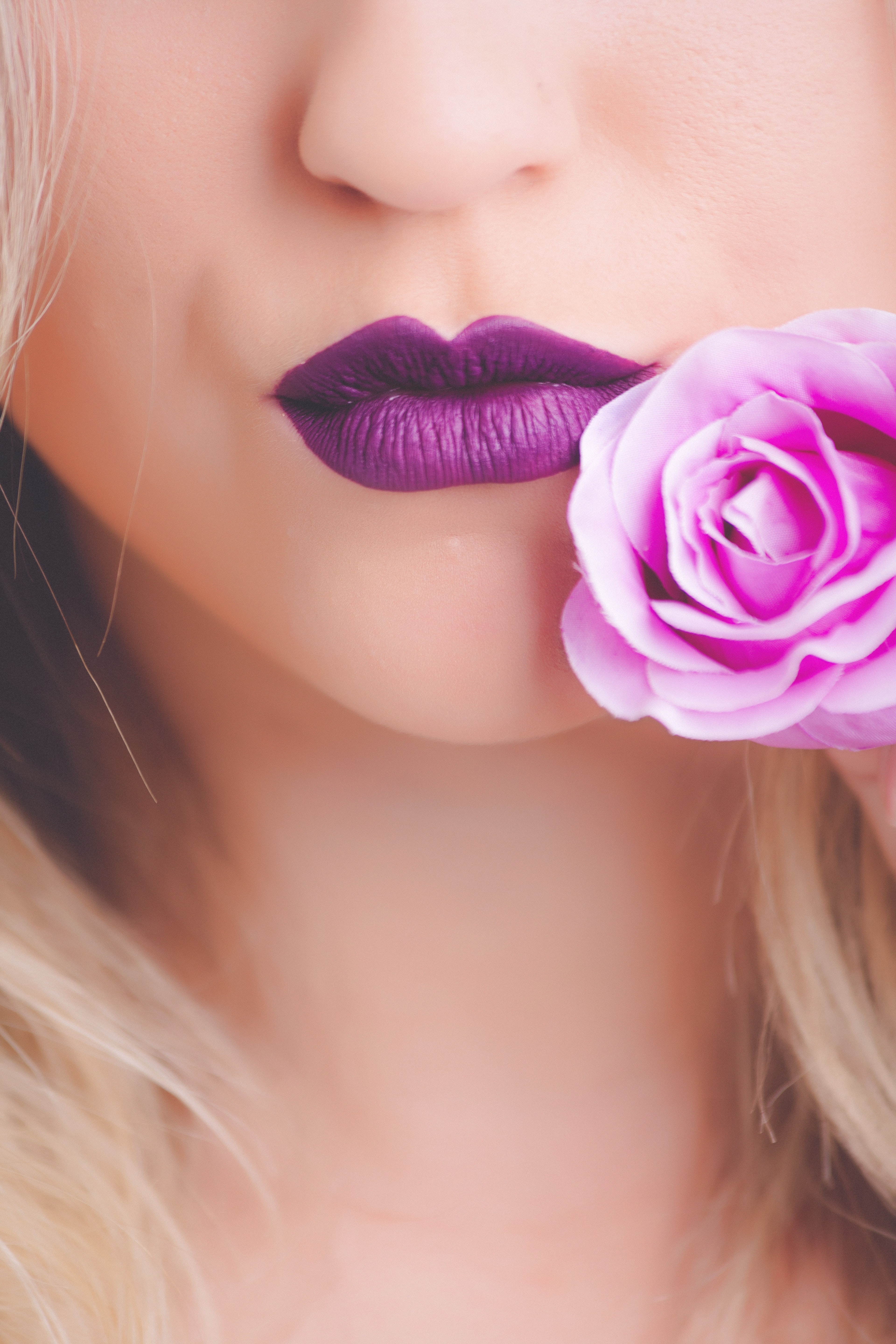 Portrait Photo of Woman's Purple Matte Lipstick, Attractive, Pose, Photoshoot, Pink, HQ Photo