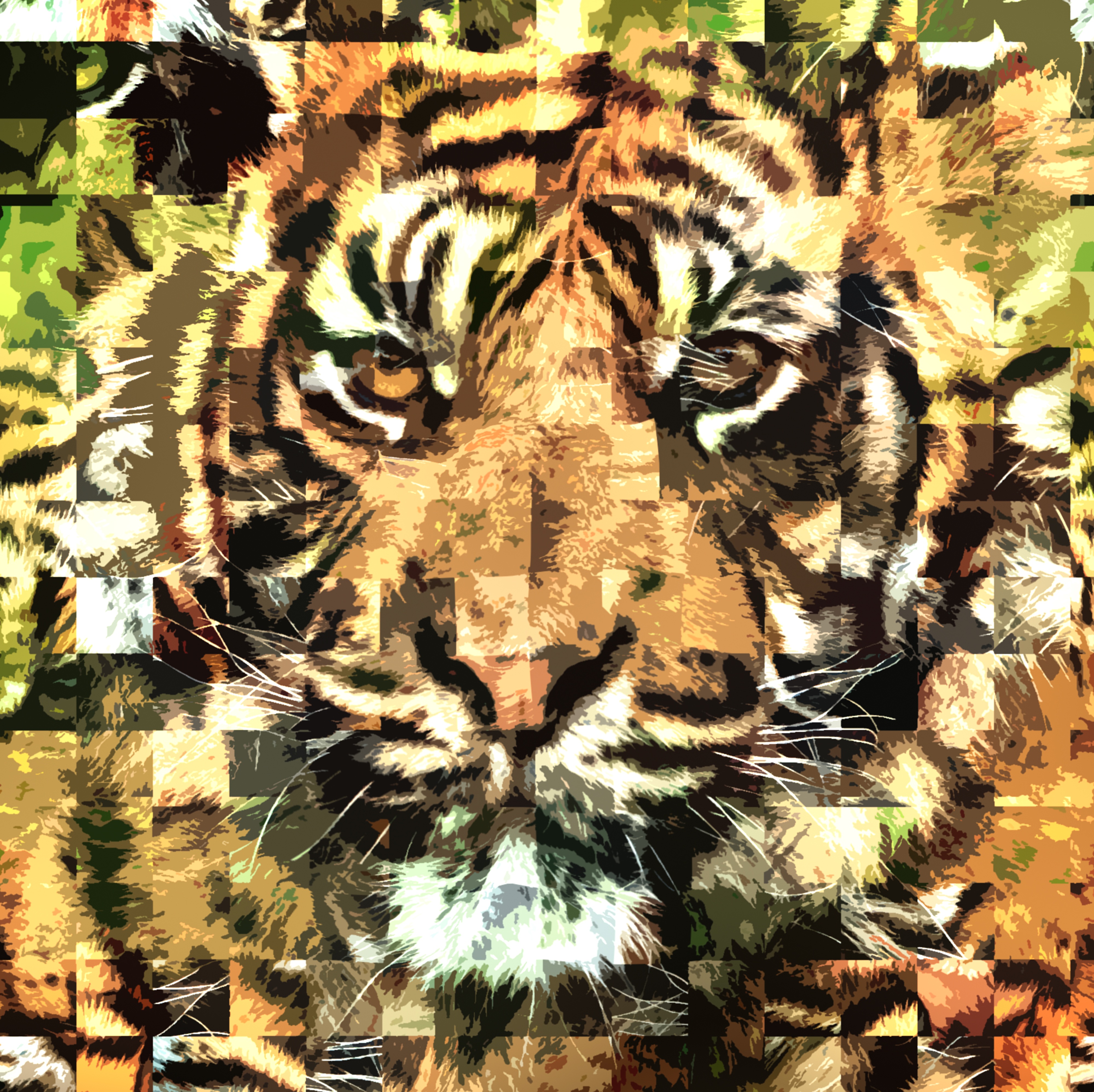 Portrait, bengal tiger mouse pad