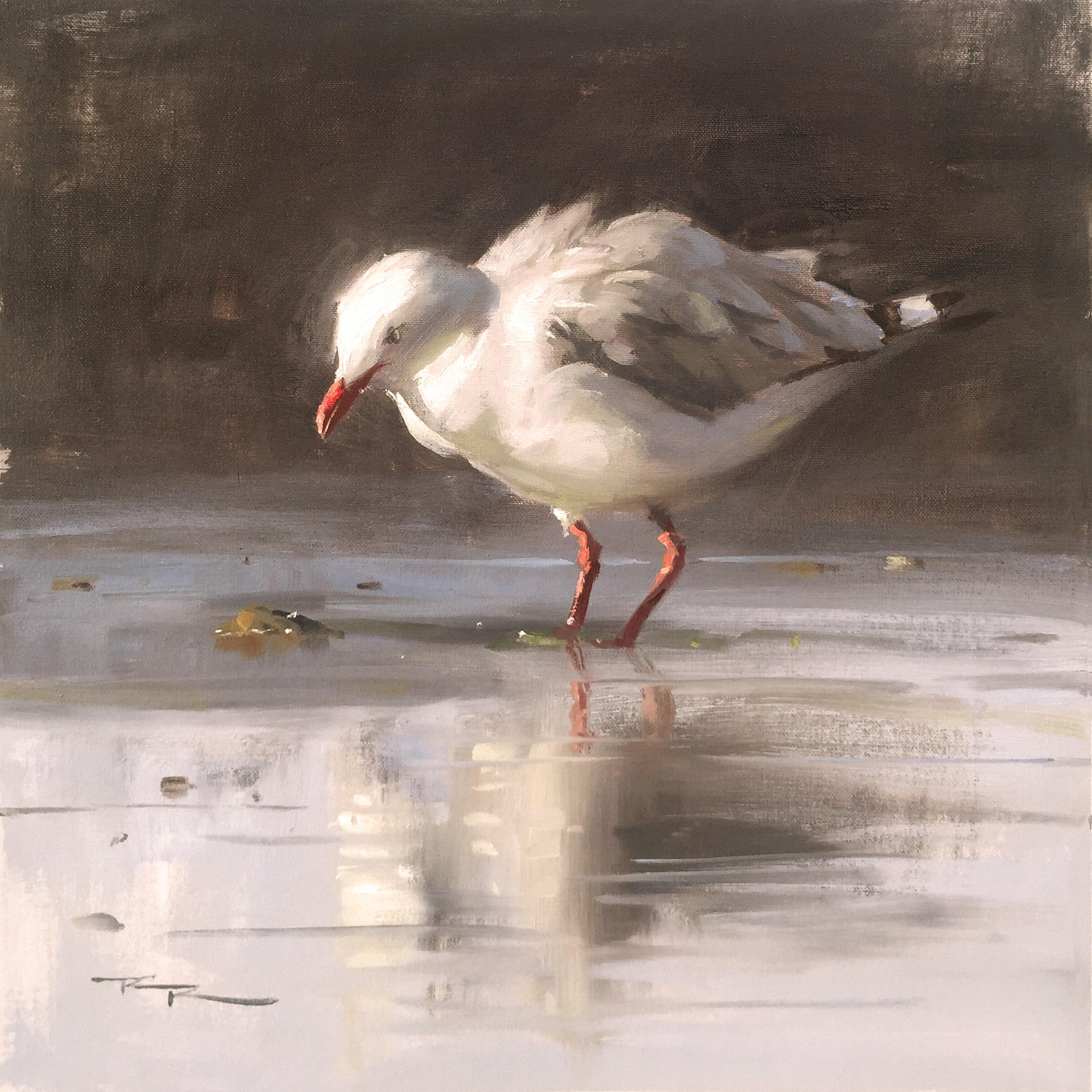 Online Painting Workshop 59 Seagulls