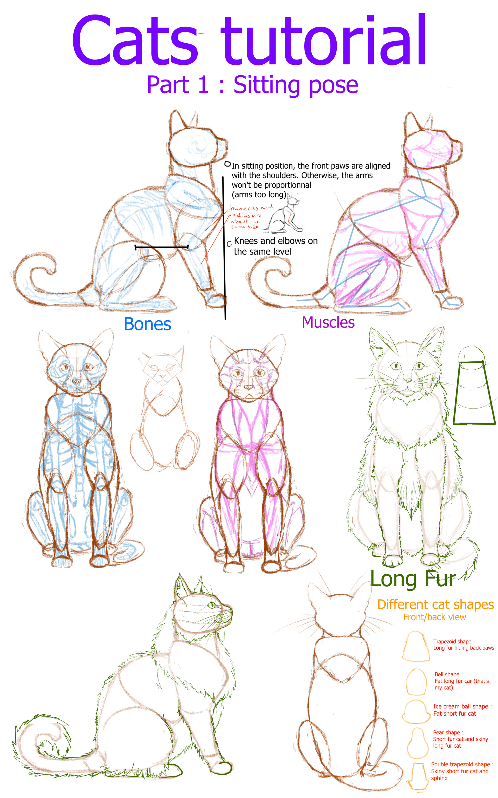 Cat Poses Drawing at GetDrawings.com | Free for personal use Cat ...