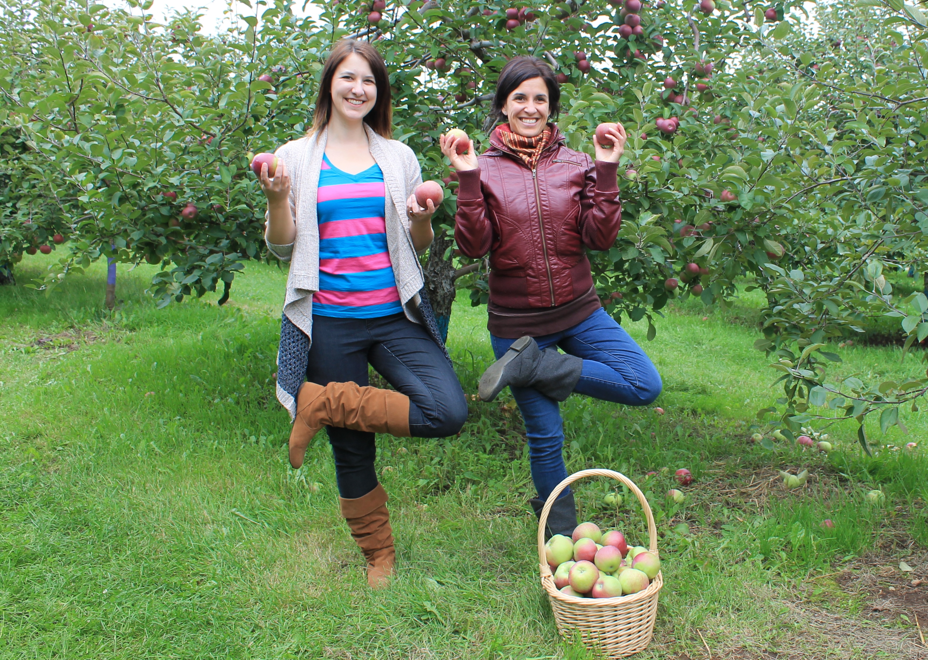 Apple picking – The Bliss Project