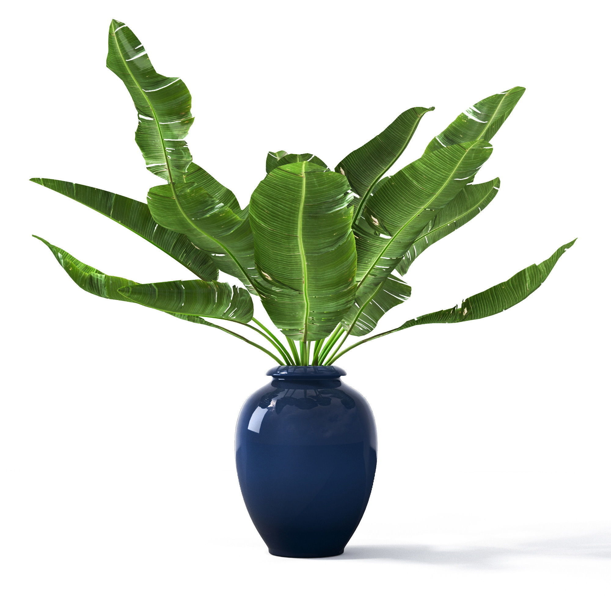 3D model Tropical pot plant flower | CGTrader