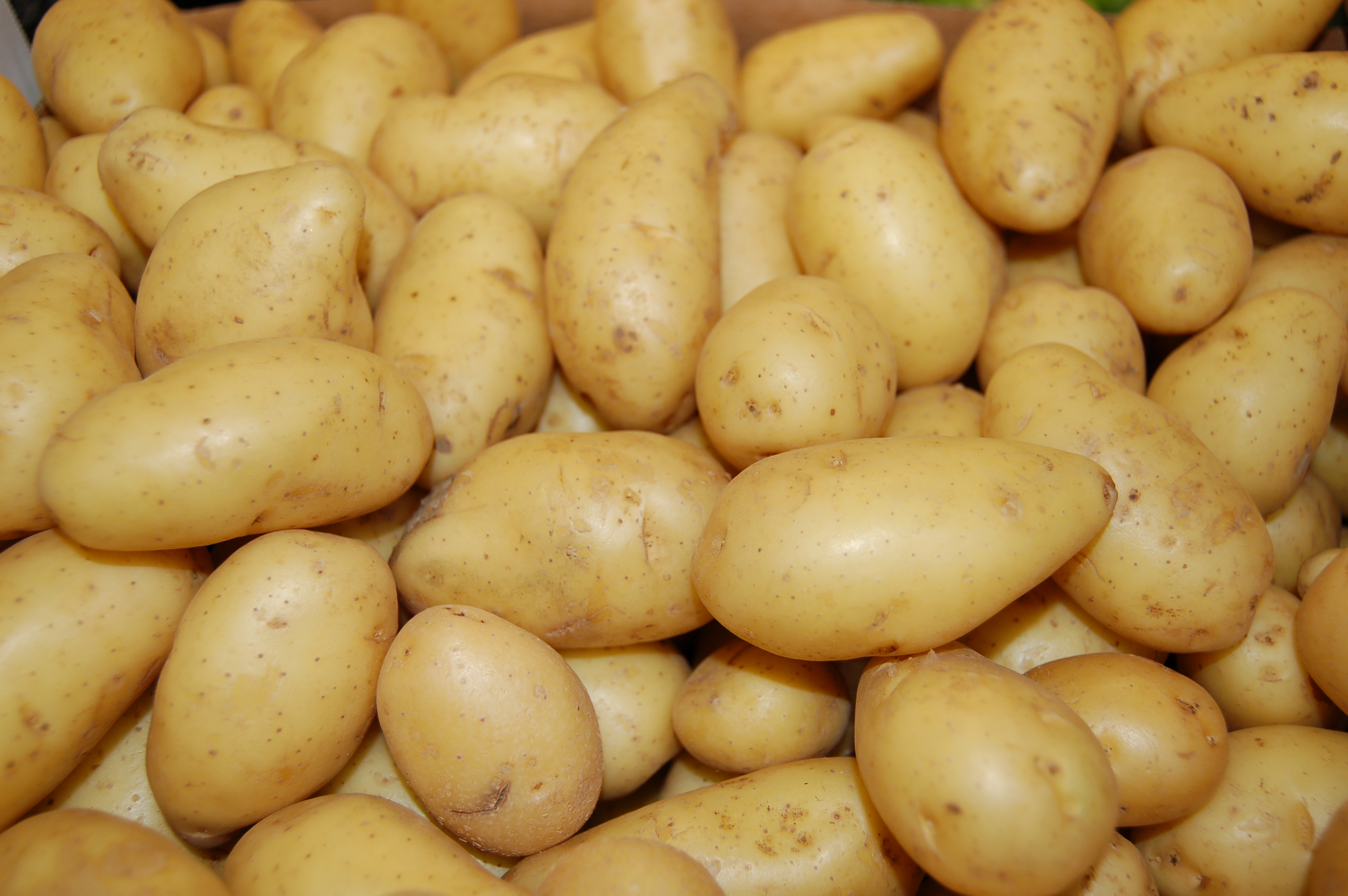 Cyprus Potatoes – Alan's Fruit & Veg in Knutsford