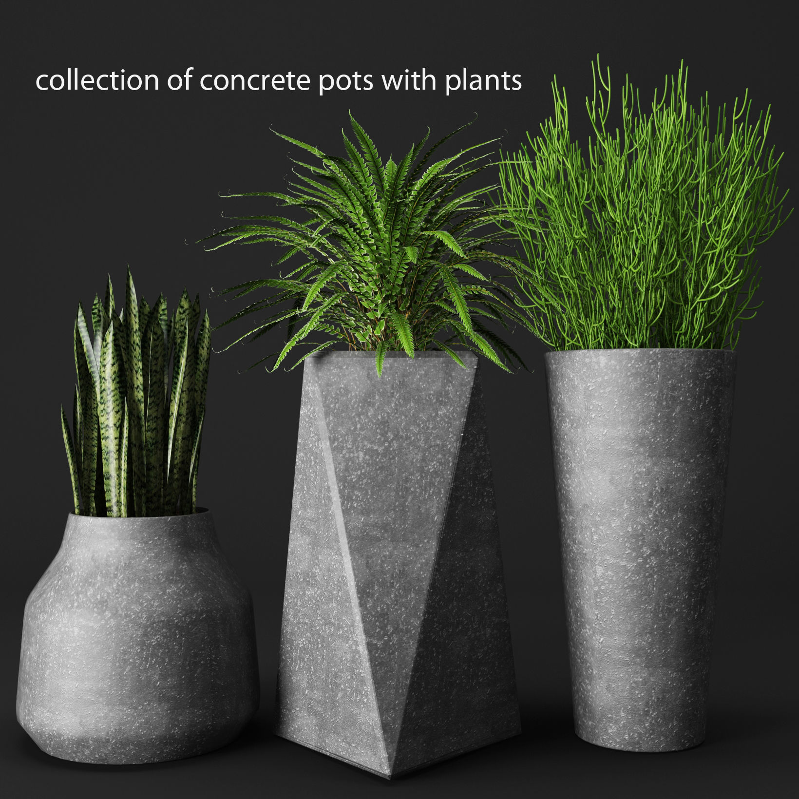 3D Potted plants | CGTrader