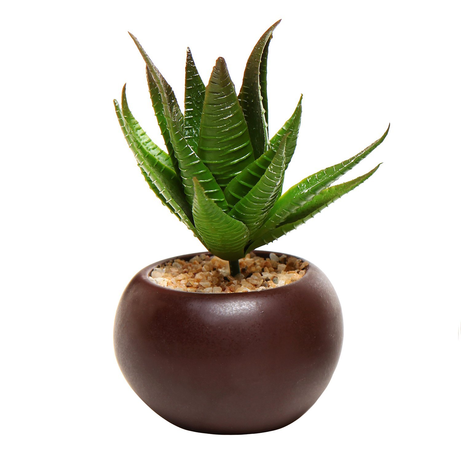 Amazon.com: Potted Artificial Mini Succulent Plants, Set of 3: Home ...
