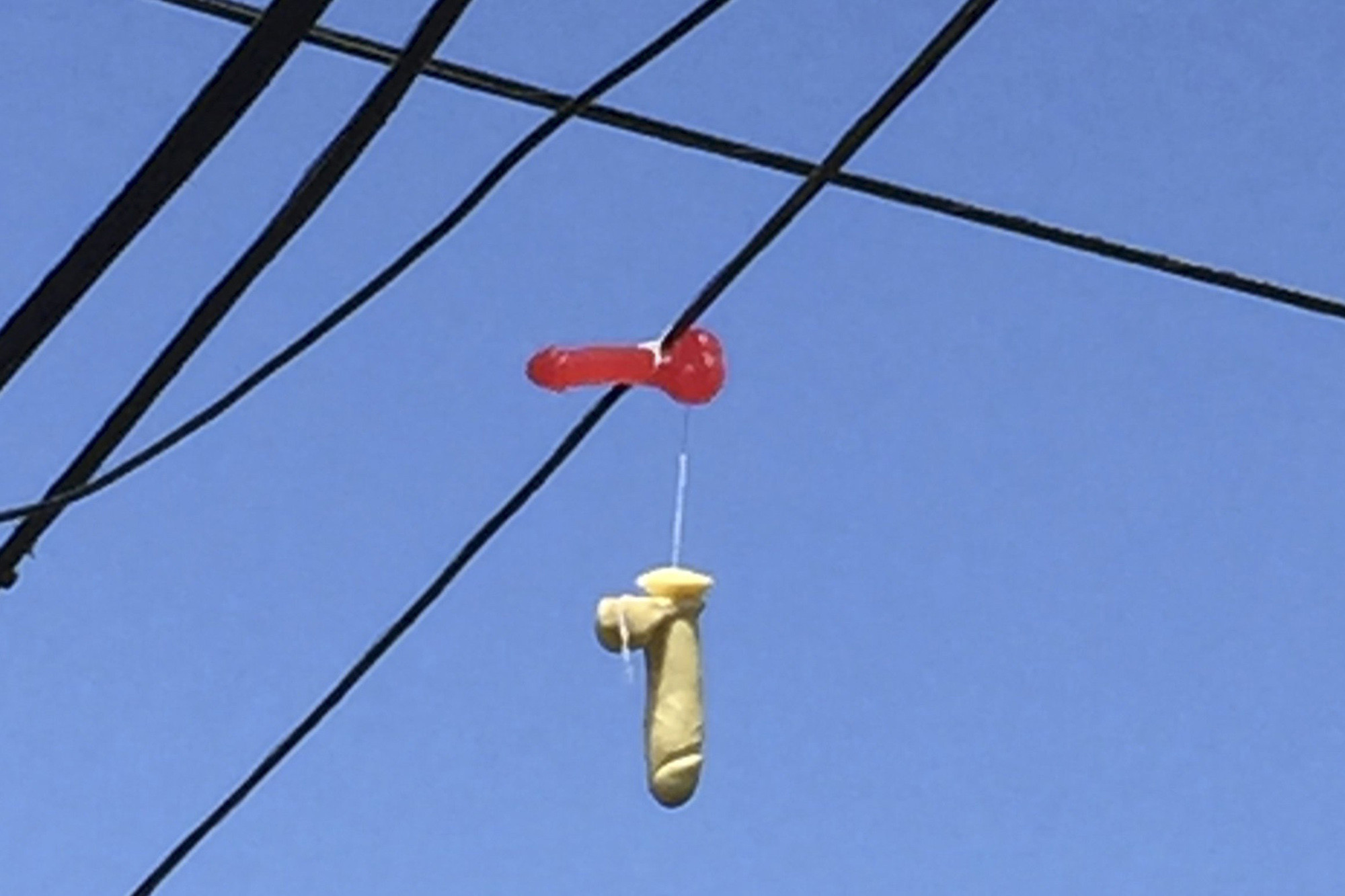 Hundreds of sex toys dangle from Portland power lines