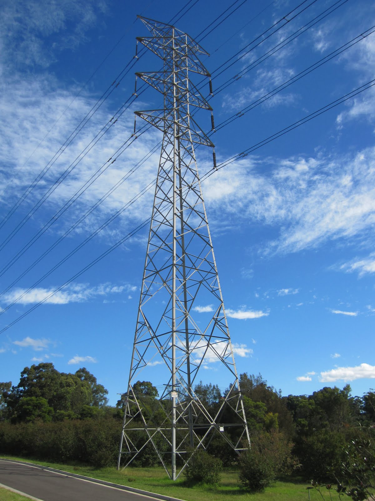 Sydney - City and Suburbs: Rookwood, power lines