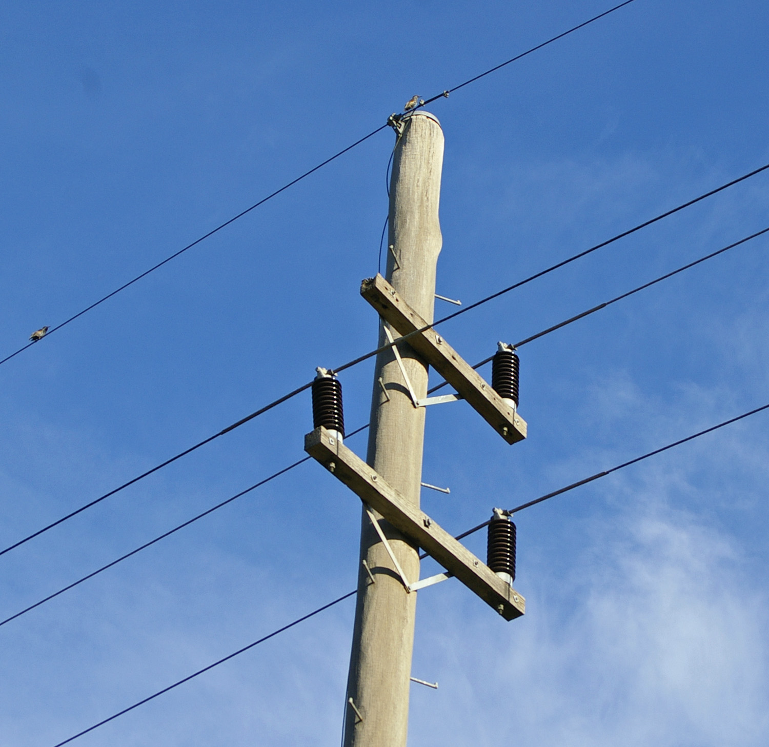 File:Two armed power pole 2.jpg - Wikimedia Commons