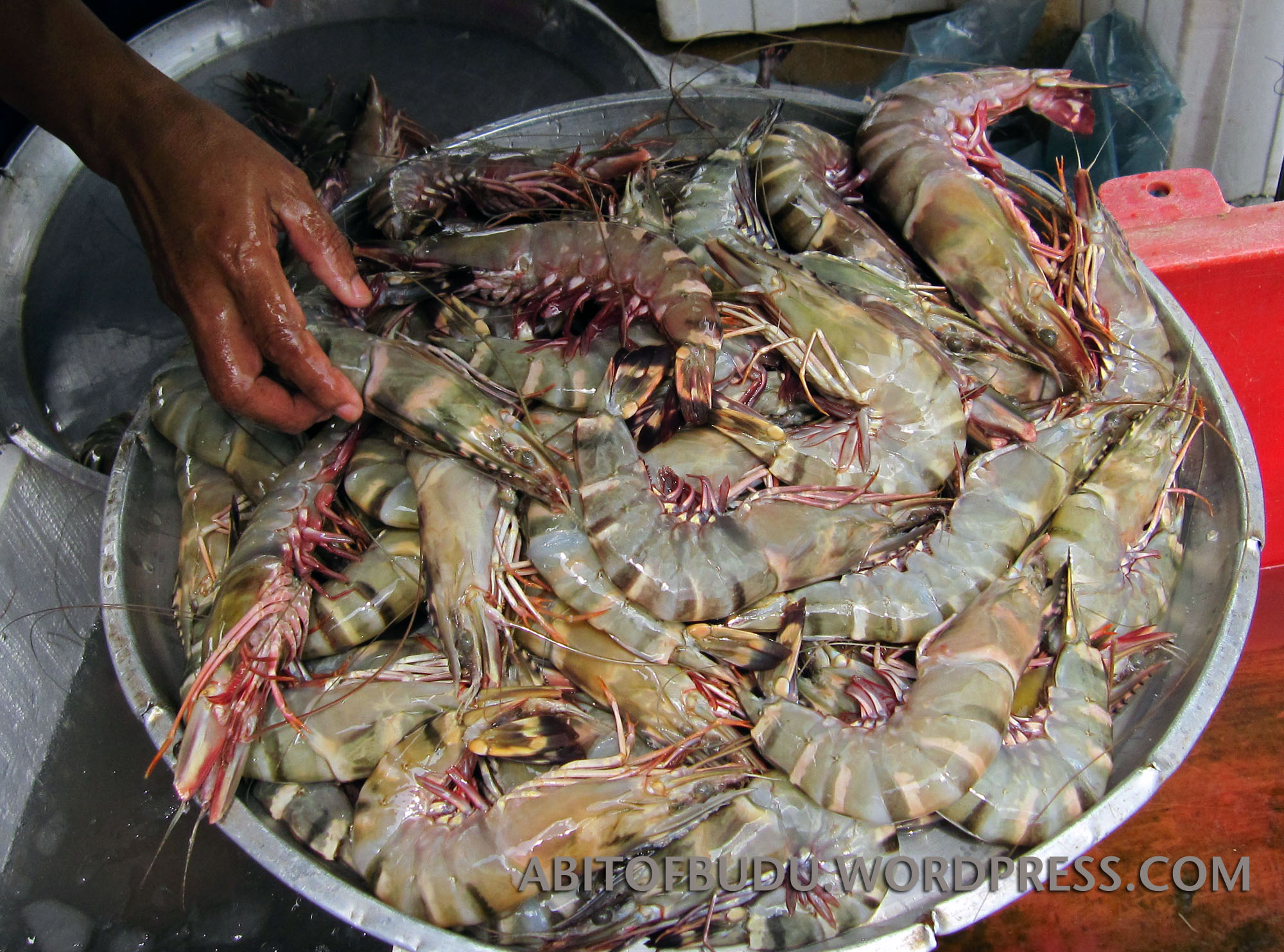 Gok Kapor Fish Market « A Bit Of Budu