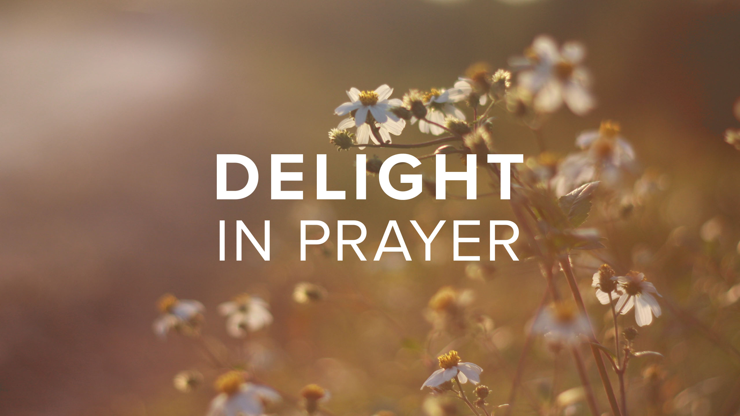 Delight In Prayer - Christ's Commission Fellowship