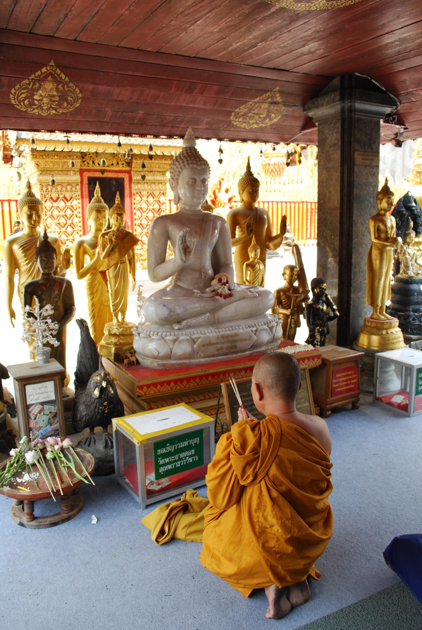 Praying to buddha photo
