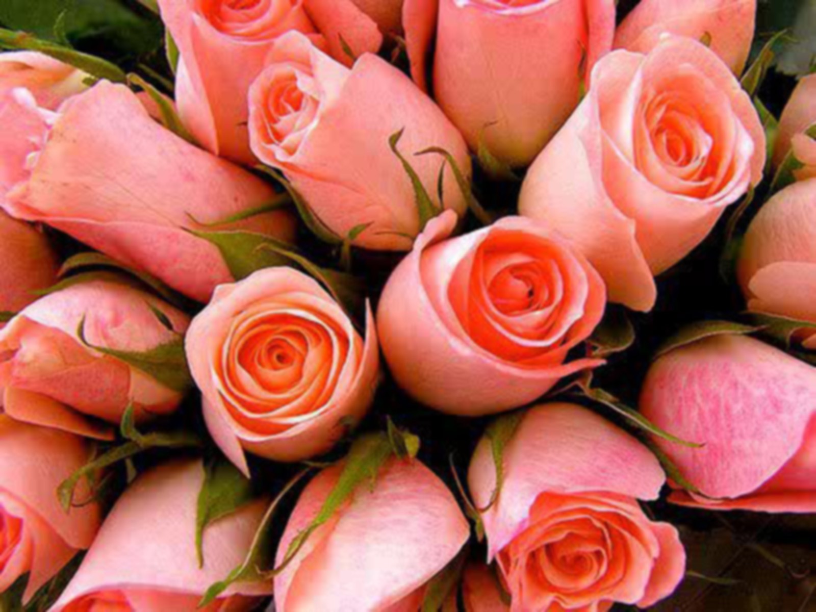 Flowers: Pretty Flowers Pink Lovey Nice Bouquet Cool Roses Flower ...