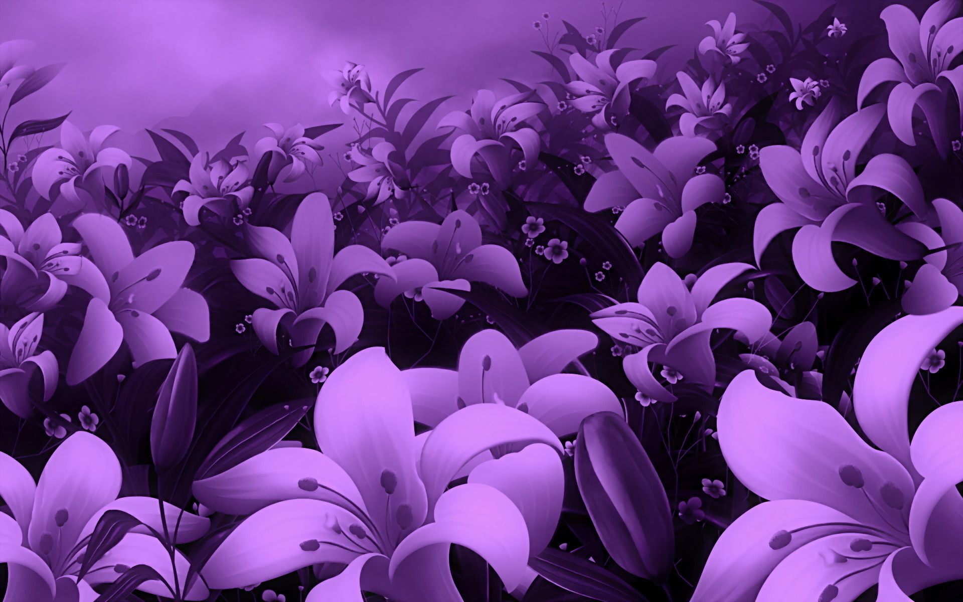Pretty purple flower photo