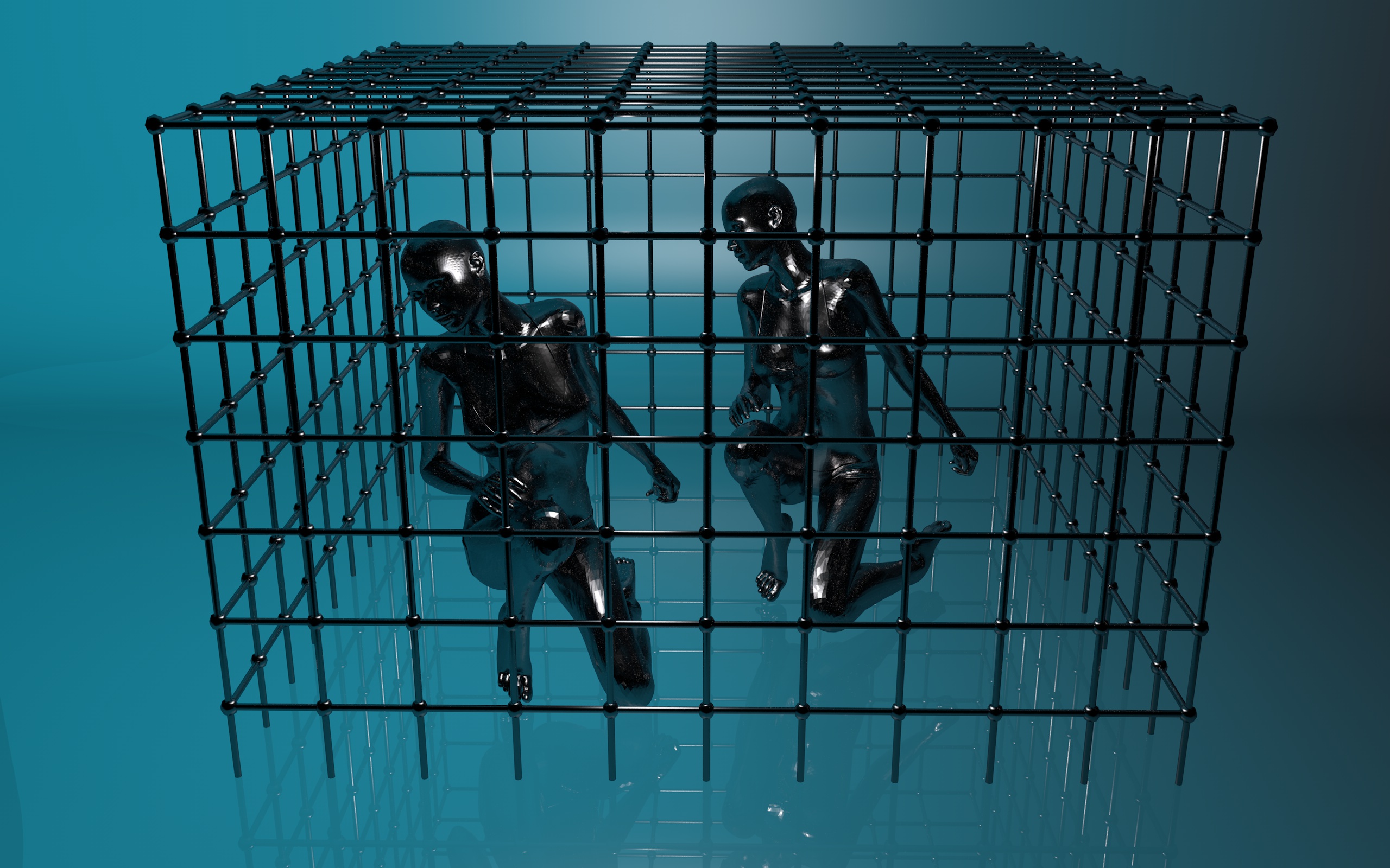 Prison - humans in a cage photo