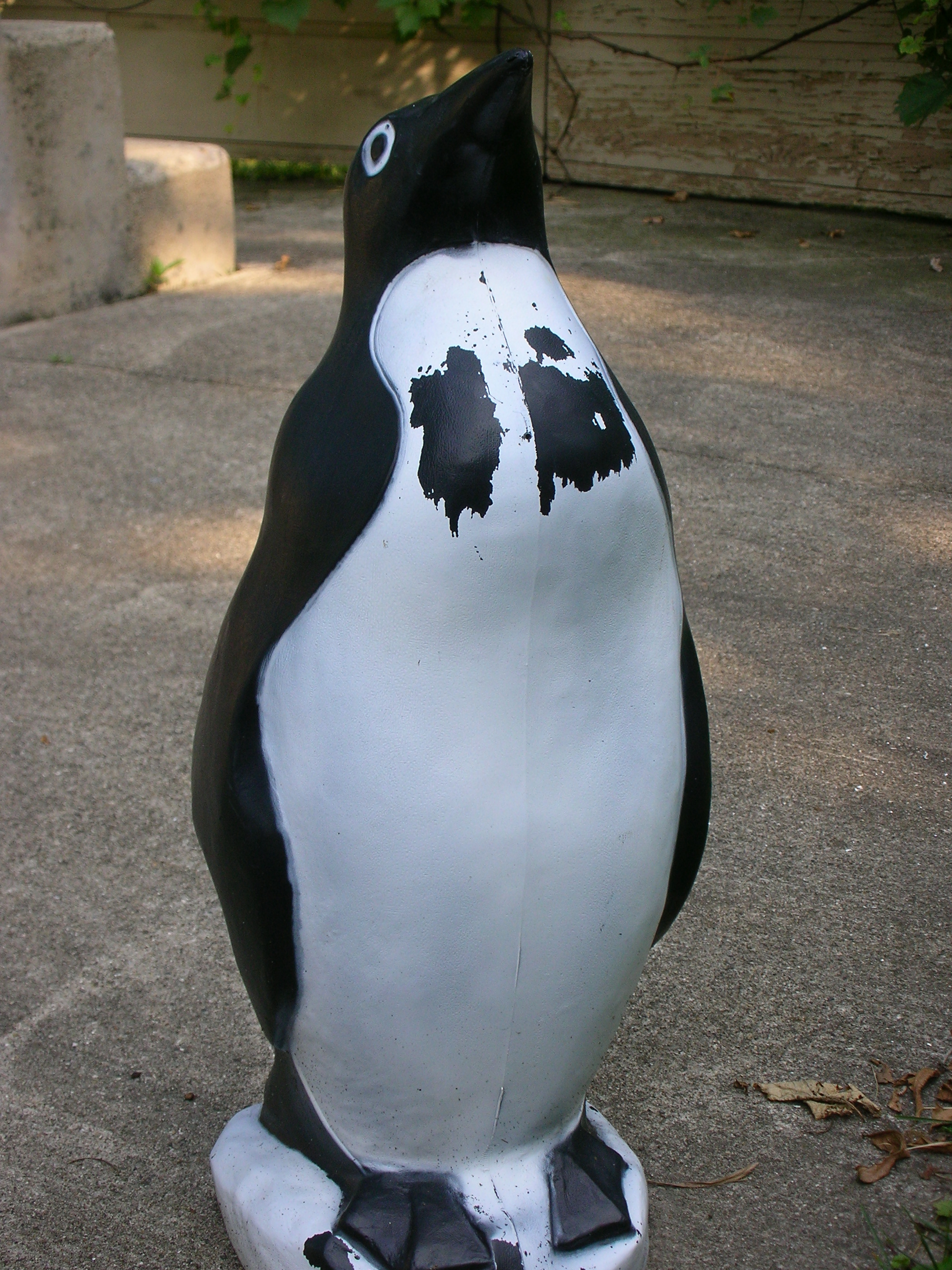 Proud plastic penguin photo