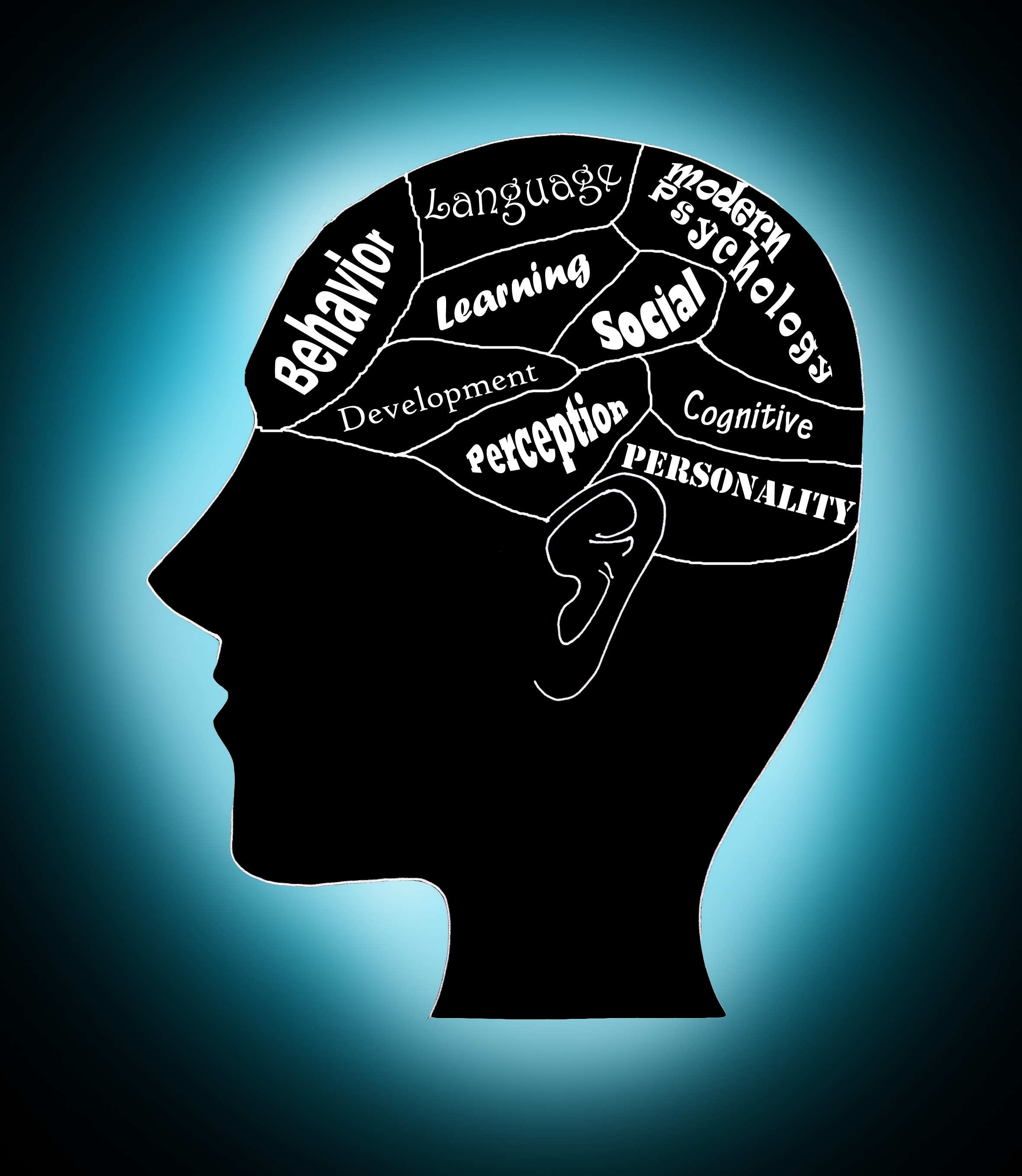 No mind reading! – A glimpse of modern psychology | Scientific ...