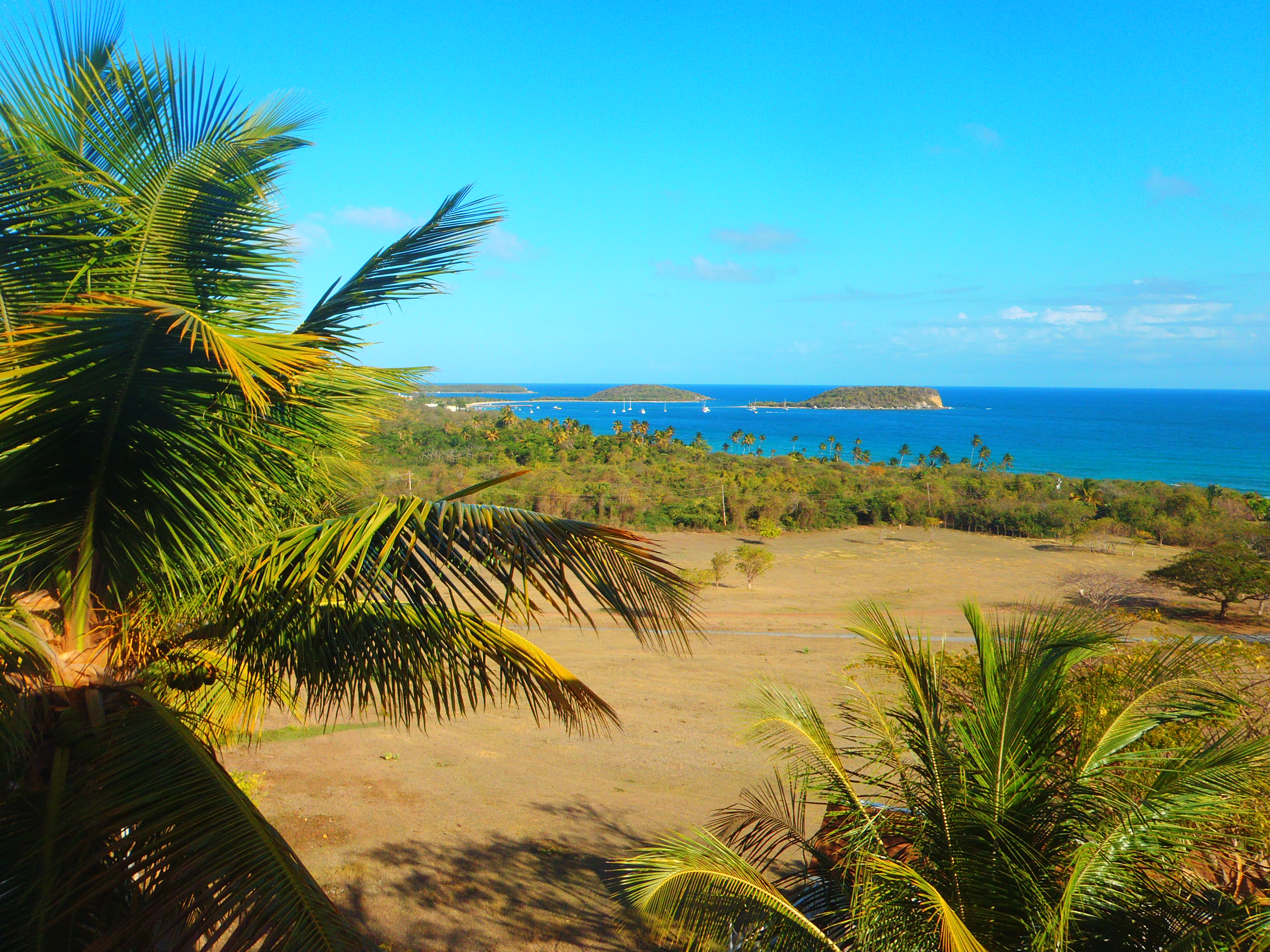 Top 5 Reasons to Visit Puerto Rico - StudentUniverse Travel Blog