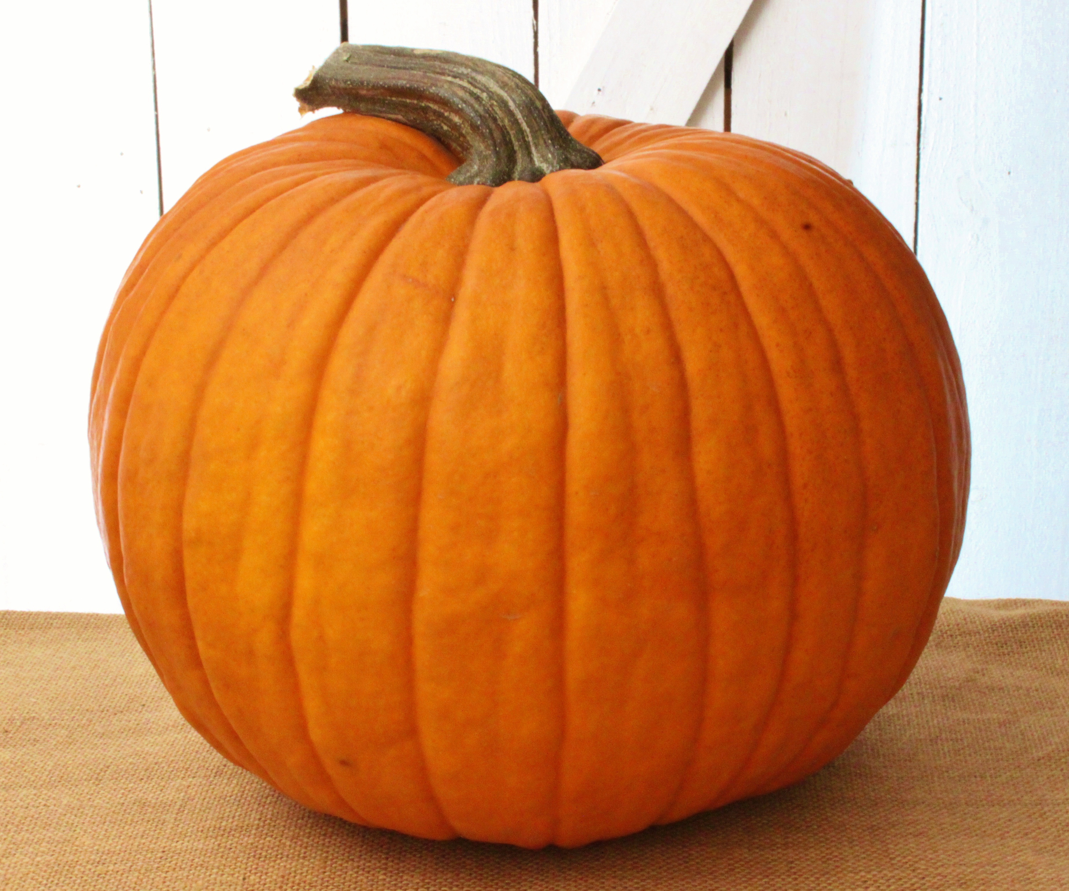 Free photo: Pumpkin - Agriculture, Seasonal, One - Free Download - Jooinn
