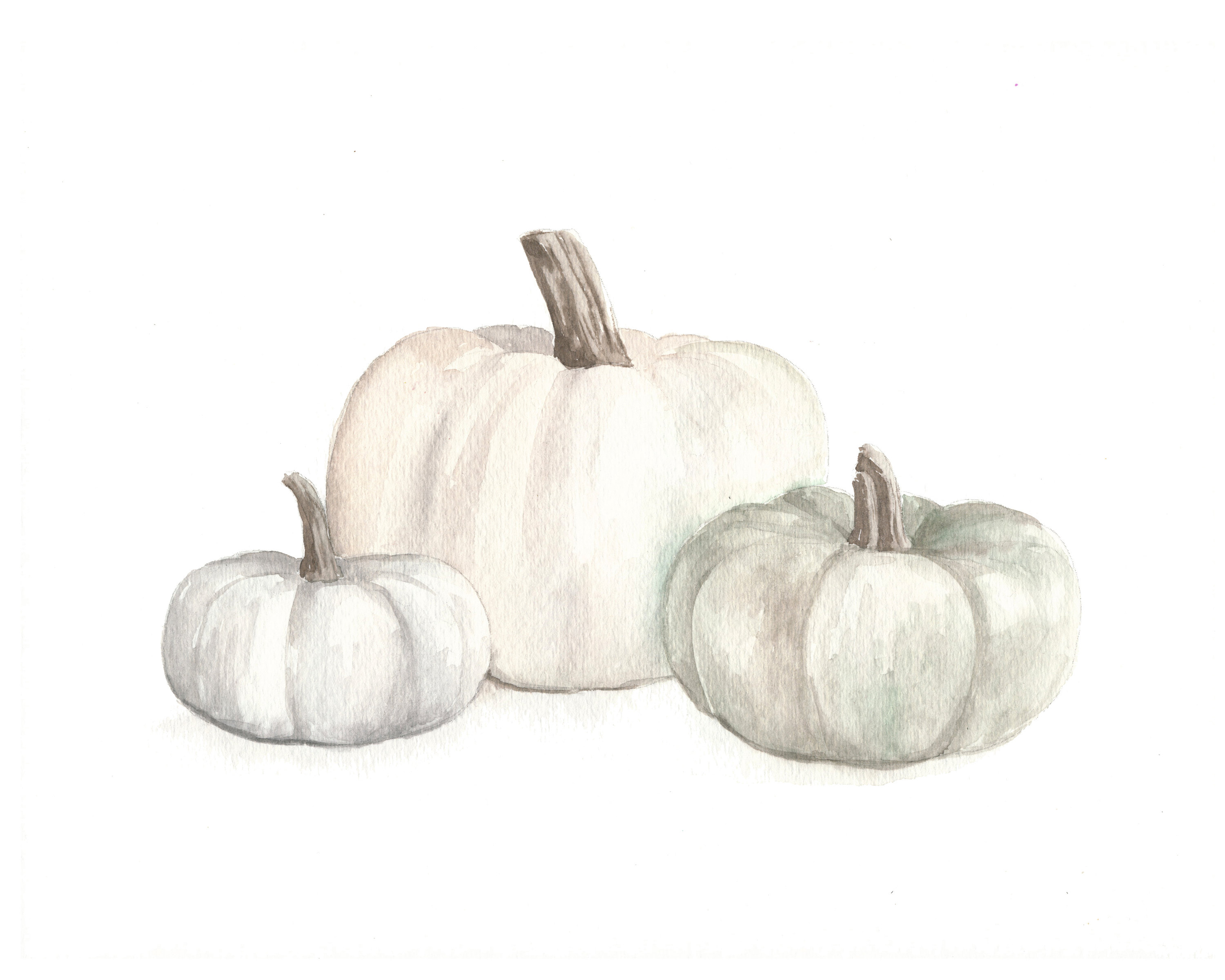 White Pumpkin Watercolor Tutorial