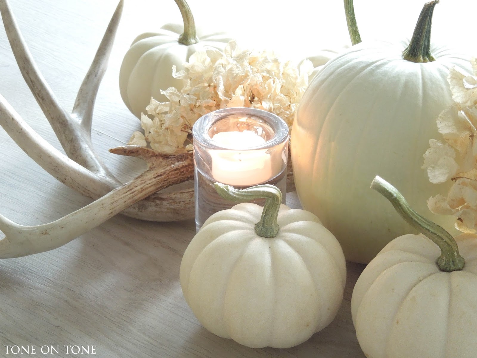 White Ceramic Pumpkin Centerpiece Thanksgiving Centerpieces Starring ...