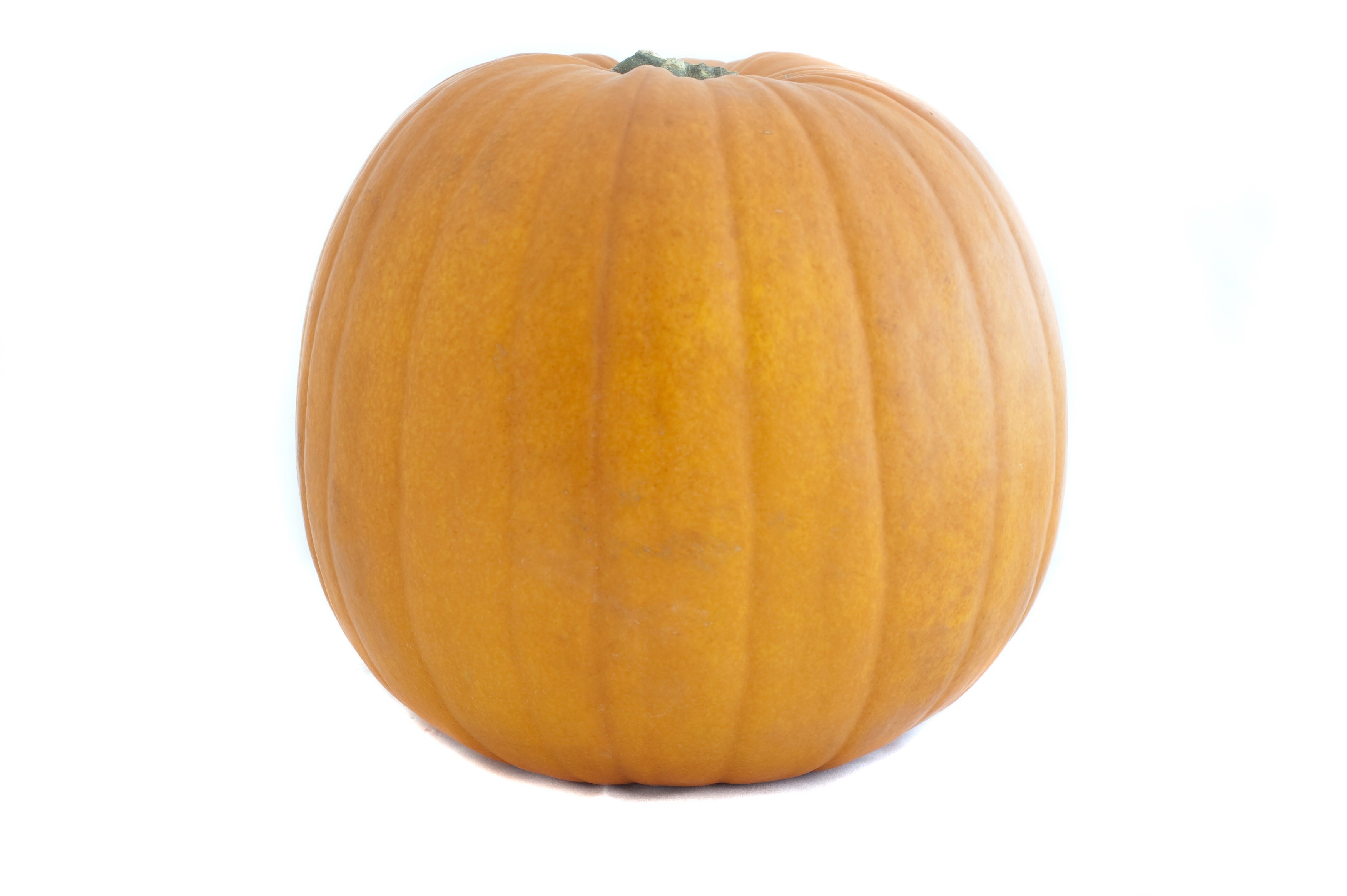 Whole fresh pumpkin - Free Stock Image