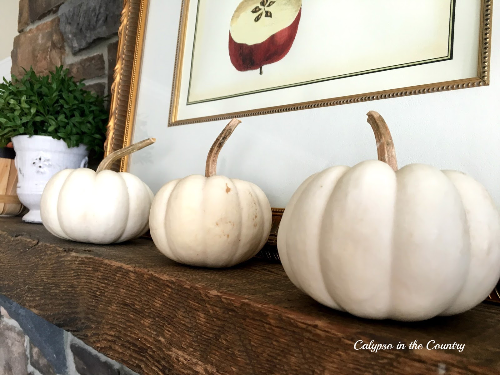 Decorating with White Pumpkins | Calypso In The Country