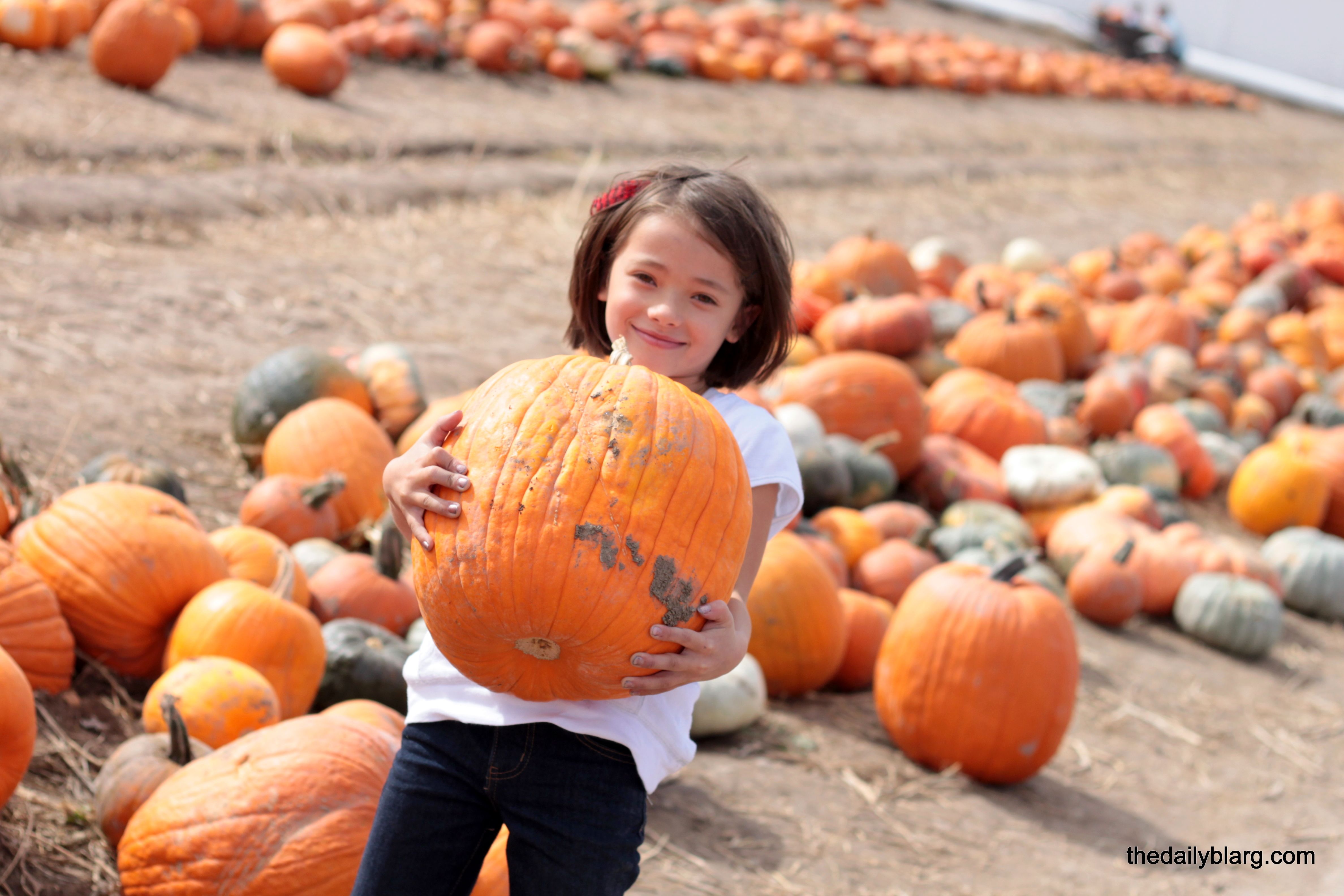 Pumpkin Patch Kids - 3 | Pumplins Patch | Pinterest | Pumpkin patch kids