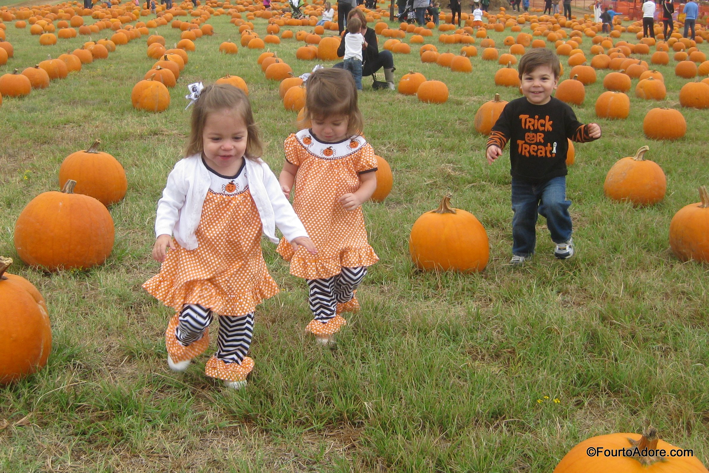 Flower Mound Pumpkin Patch {Spot to Visit with Tots} – Four to Adore