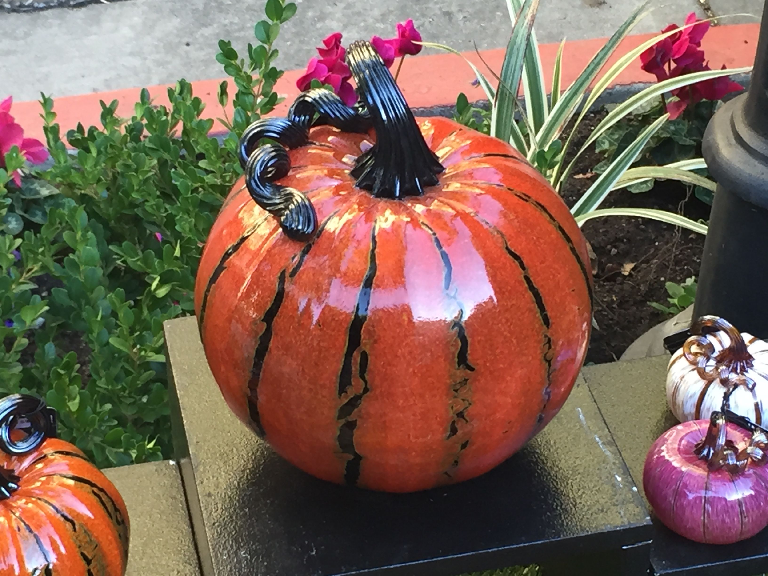 Glass pumpkins at the Santana Row Glass pumpkin patch, 2017 ...