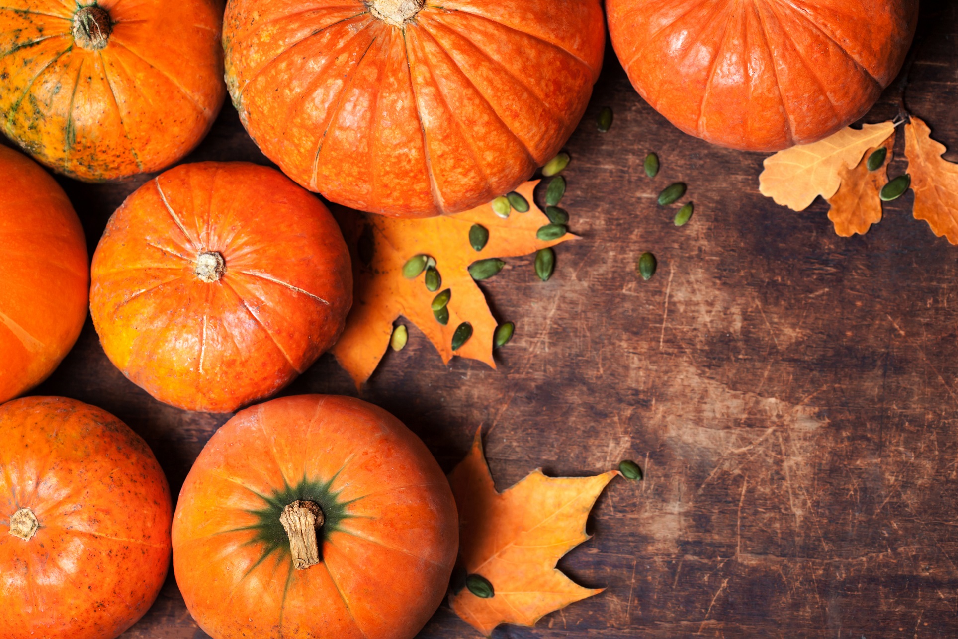 Blog | Taste the Cancer-fighting Power of Pumpkin - NFCR
