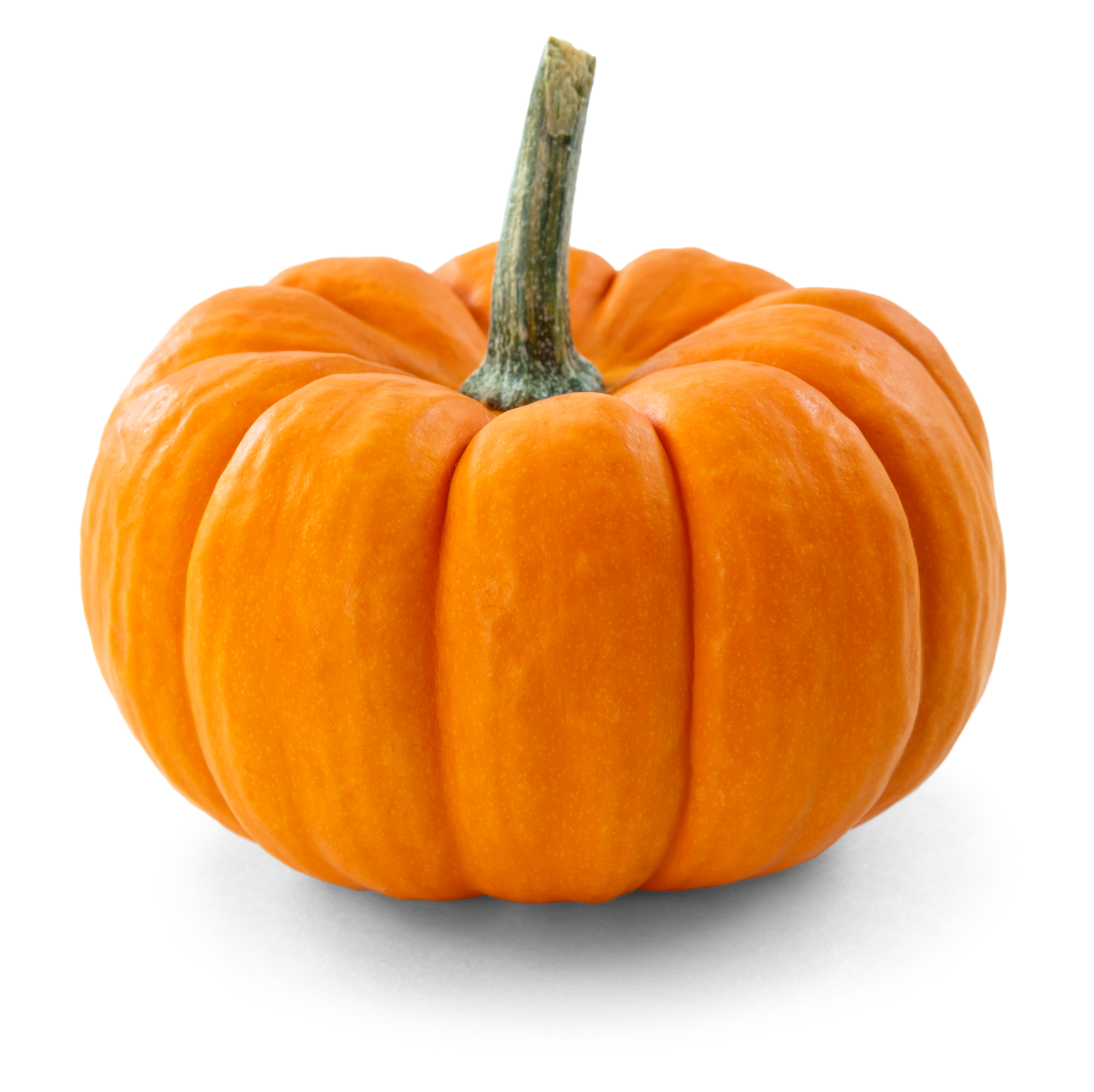 It's Pumpkin Time! – Family Food Blog