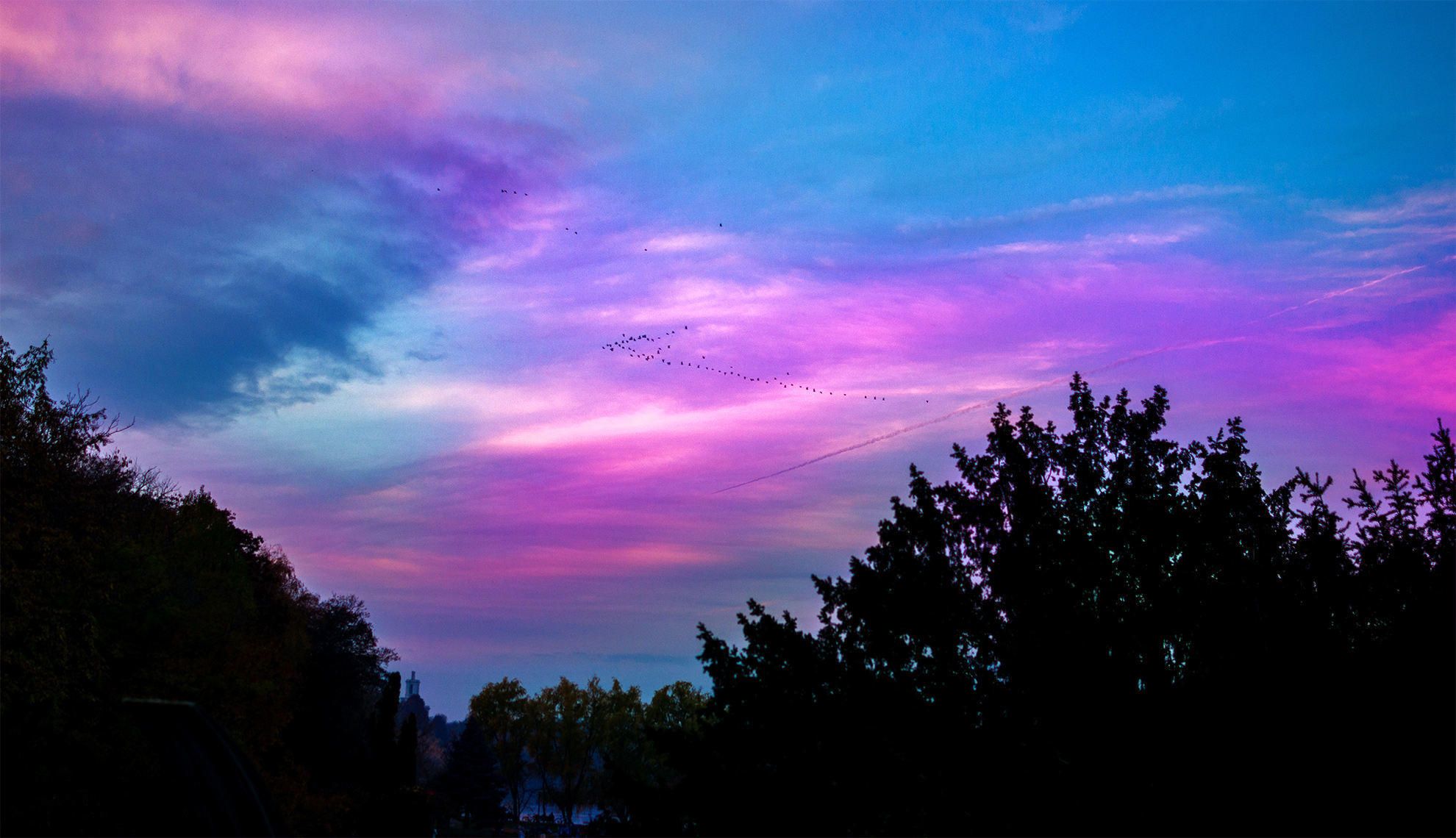 Purple and blue sky photo