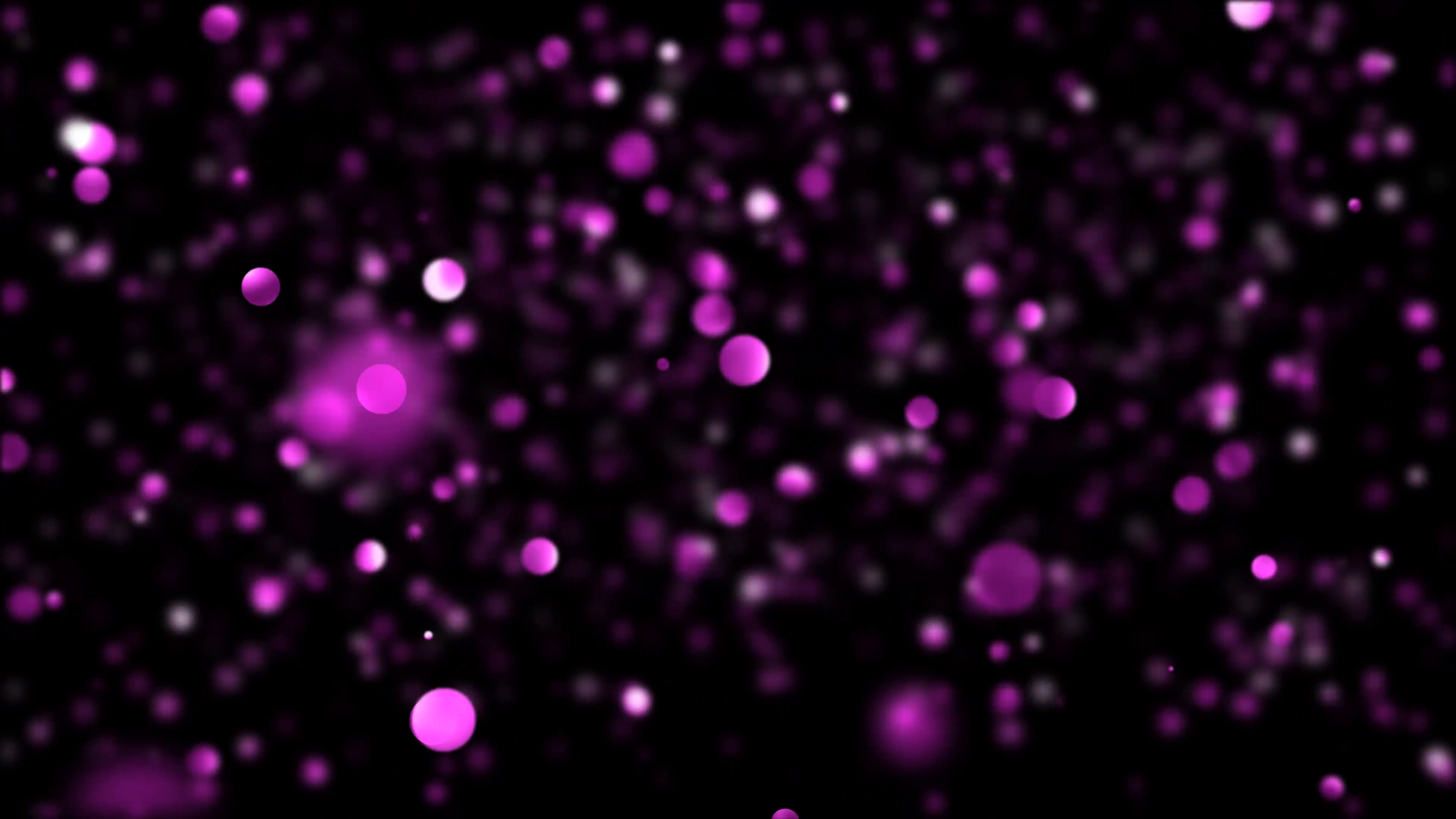 Pink or purple bokeh circles of various shades and sizes rise slowly ...