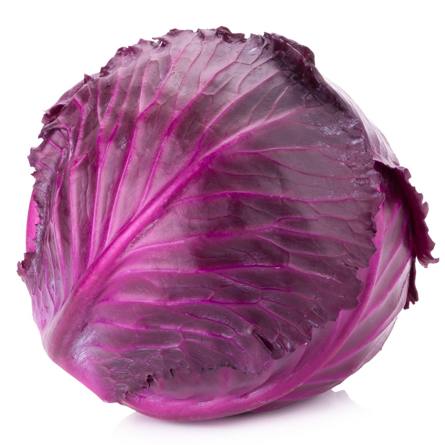 Cabbage, Red | Walmart Canada