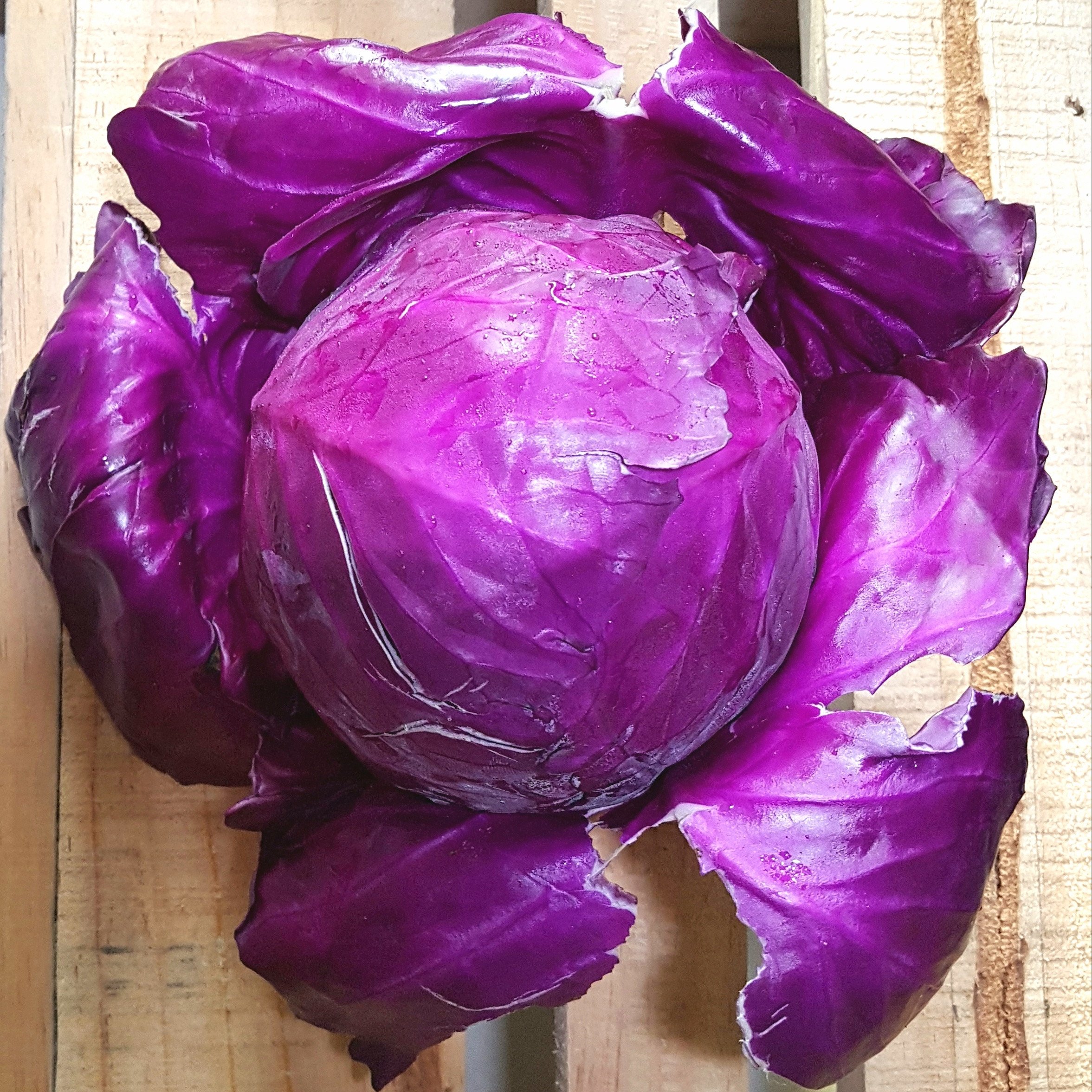 C. Organic Purple Cabbage (Per 500g) – Homegrown Organics (The Home ...