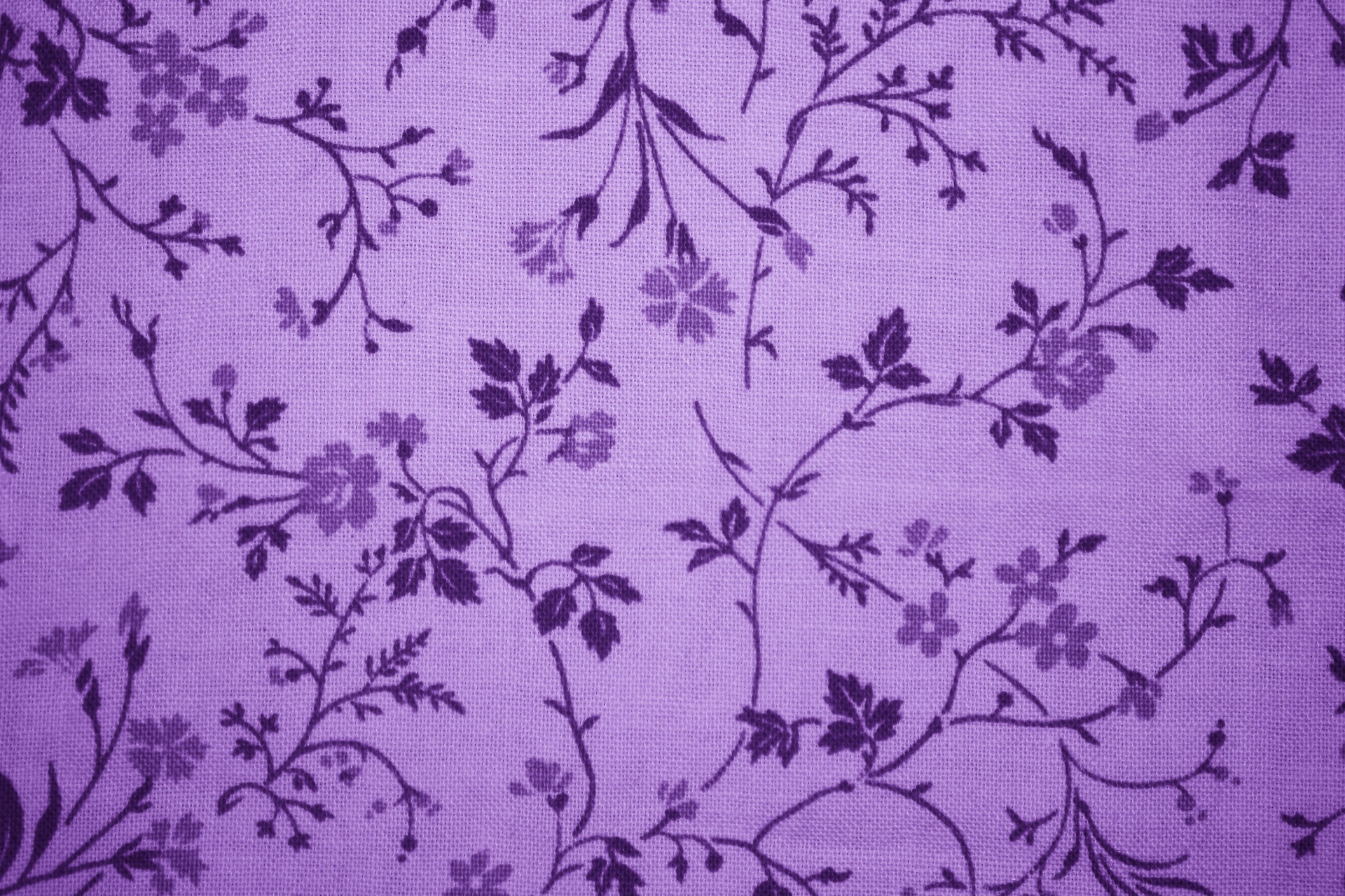 Floral Violet Purple Fabric Free Stock Photo - Public Domain Pictures